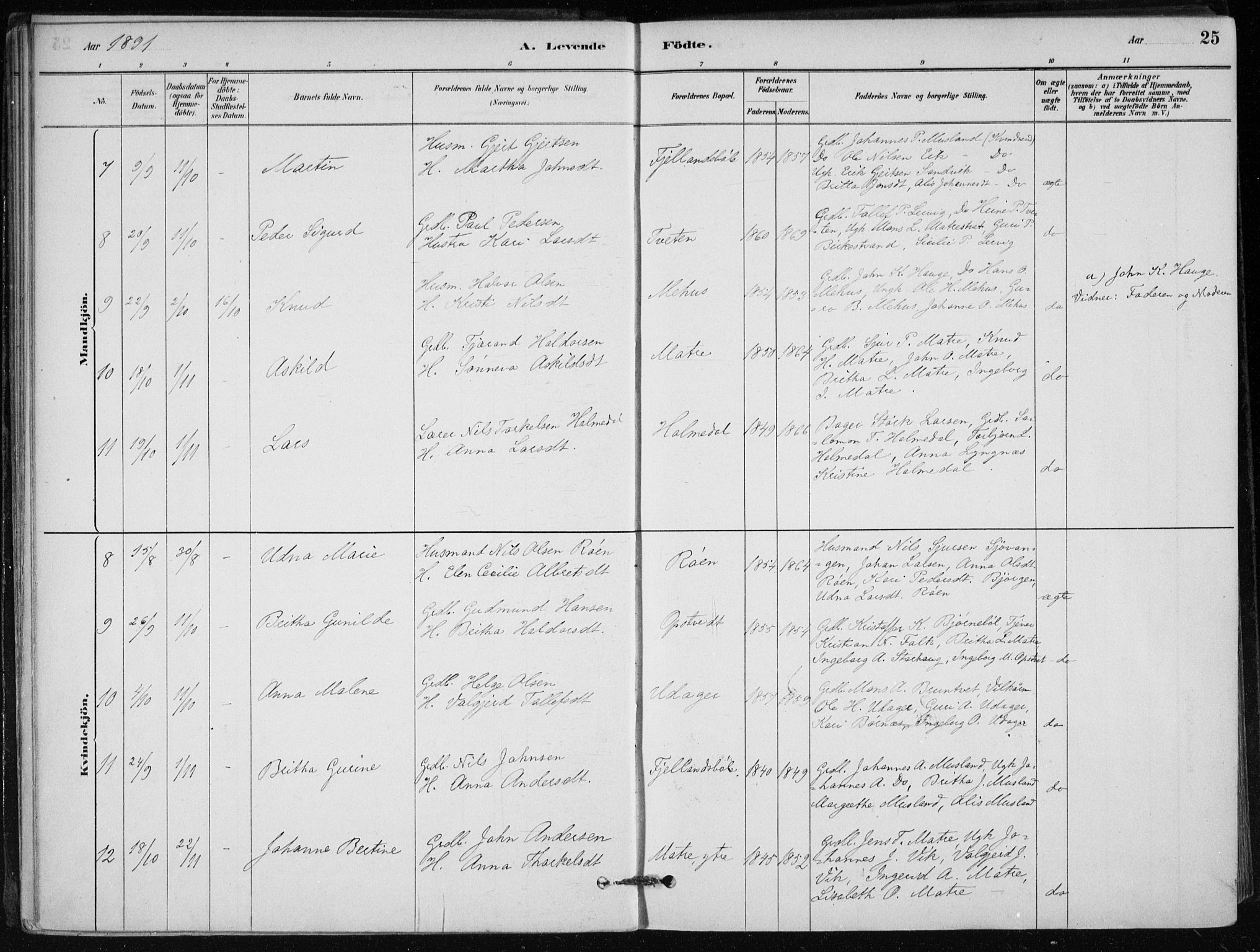 Skånevik sokneprestembete, SAB/A-77801/H/Haa: Parish register (official) no. C  1, 1879-1917, p. 25