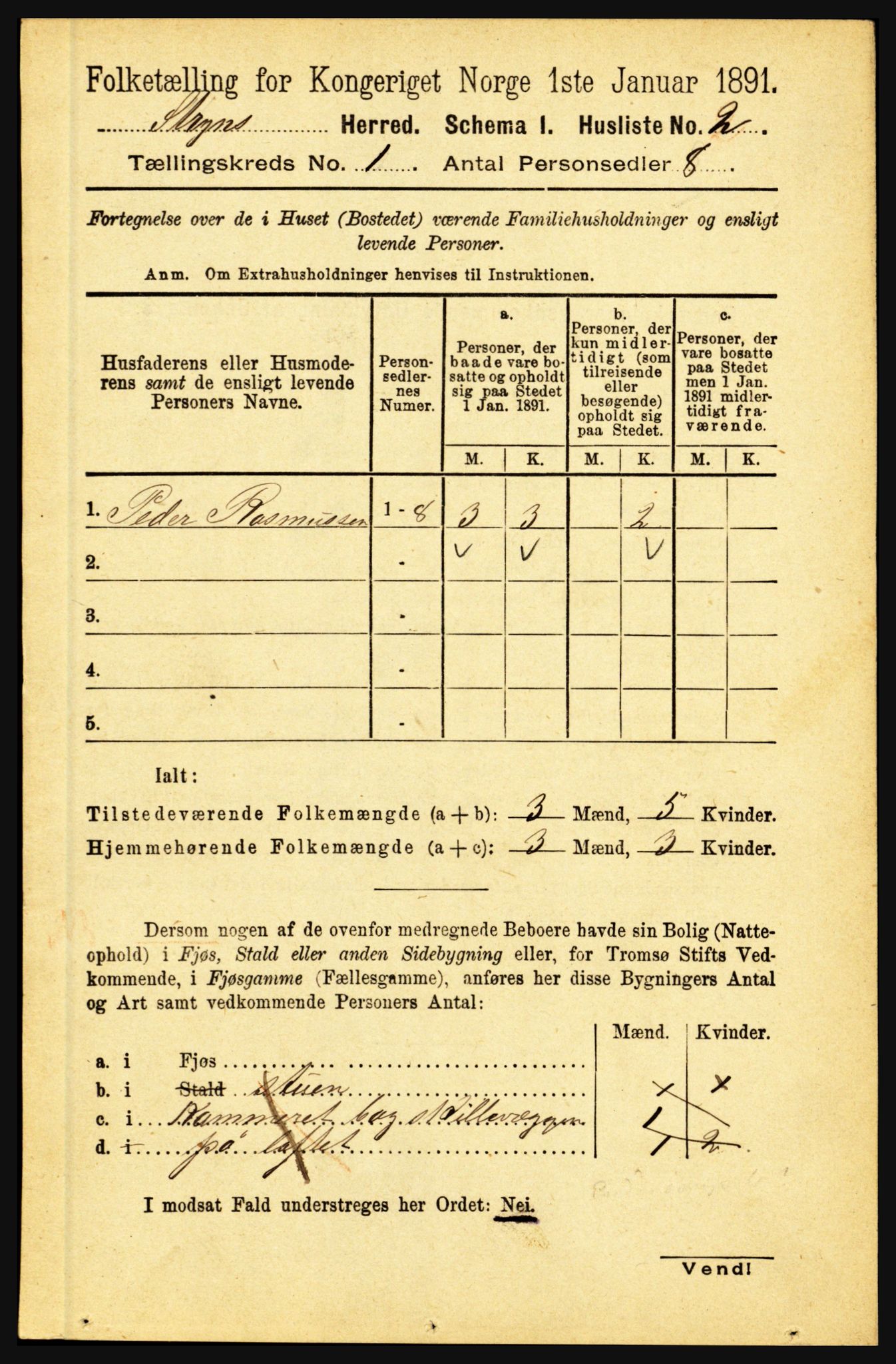 RA, 1891 census for 1448 Stryn, 1891, p. 30