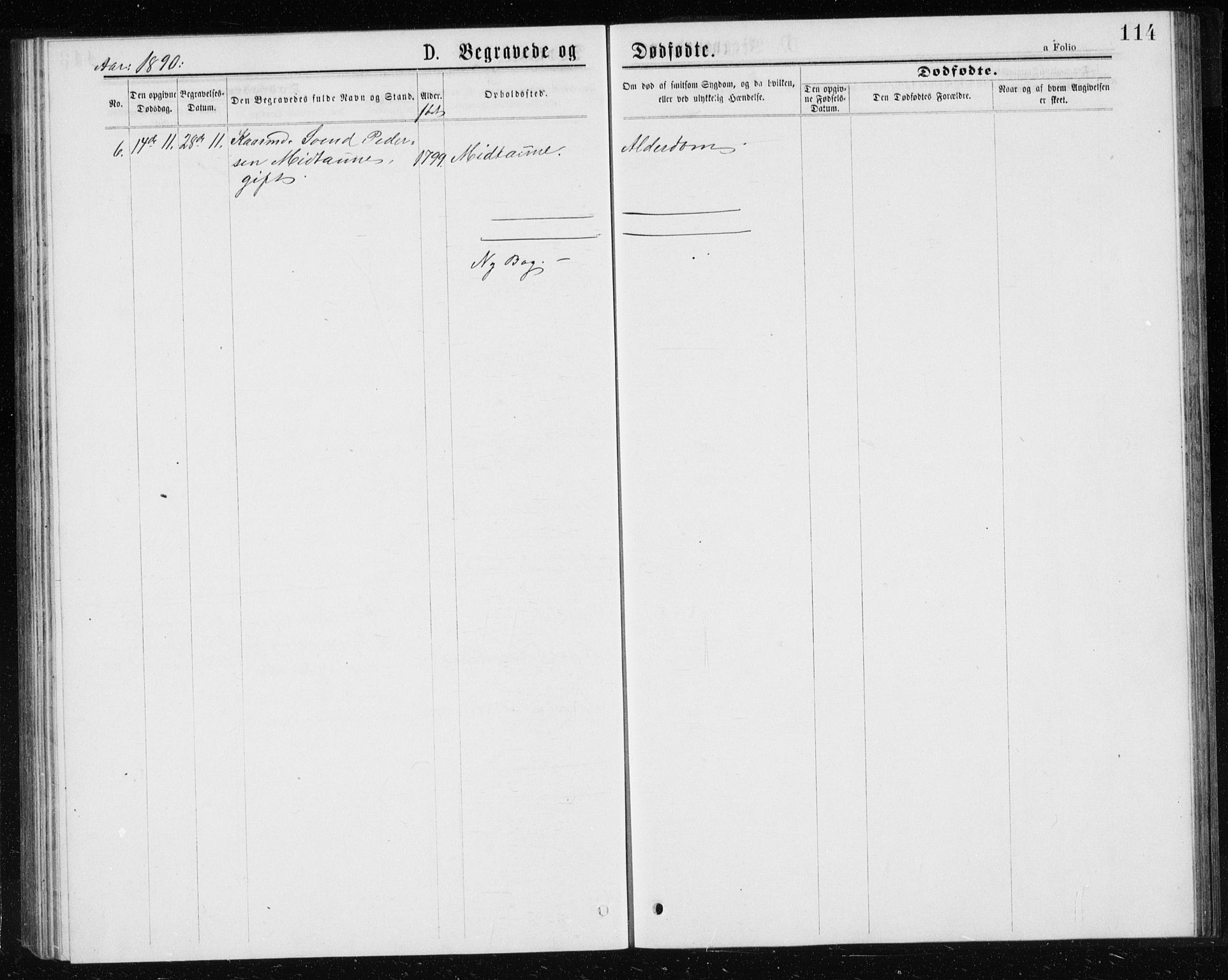 Ministerialprotokoller, klokkerbøker og fødselsregistre - Sør-Trøndelag, SAT/A-1456/685/L0977: Parish register (copy) no. 685C02, 1879-1890, p. 114