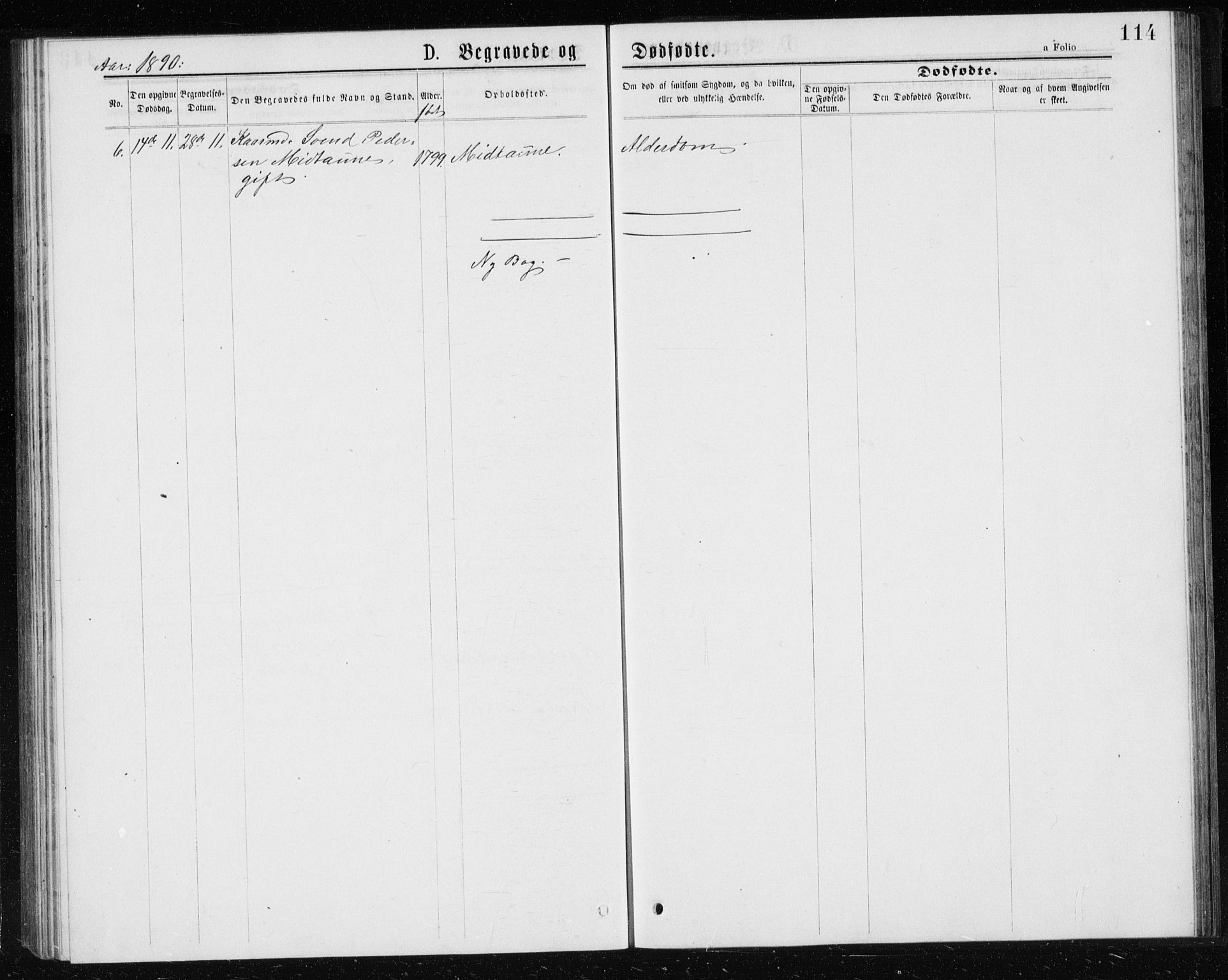 Ministerialprotokoller, klokkerbøker og fødselsregistre - Sør-Trøndelag, AV/SAT-A-1456/685/L0977: Parish register (copy) no. 685C02, 1879-1890, p. 114