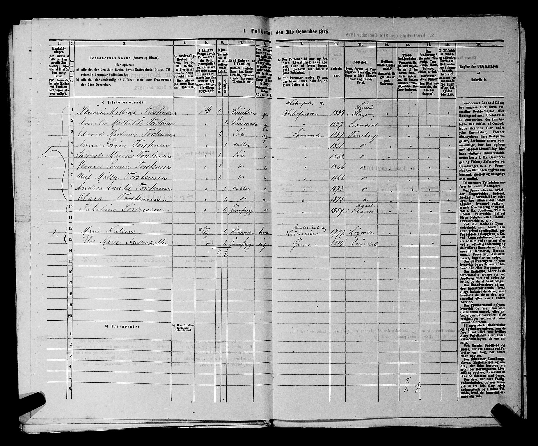 SAKO, 1875 census for 0705P Tønsberg, 1875, p. 733