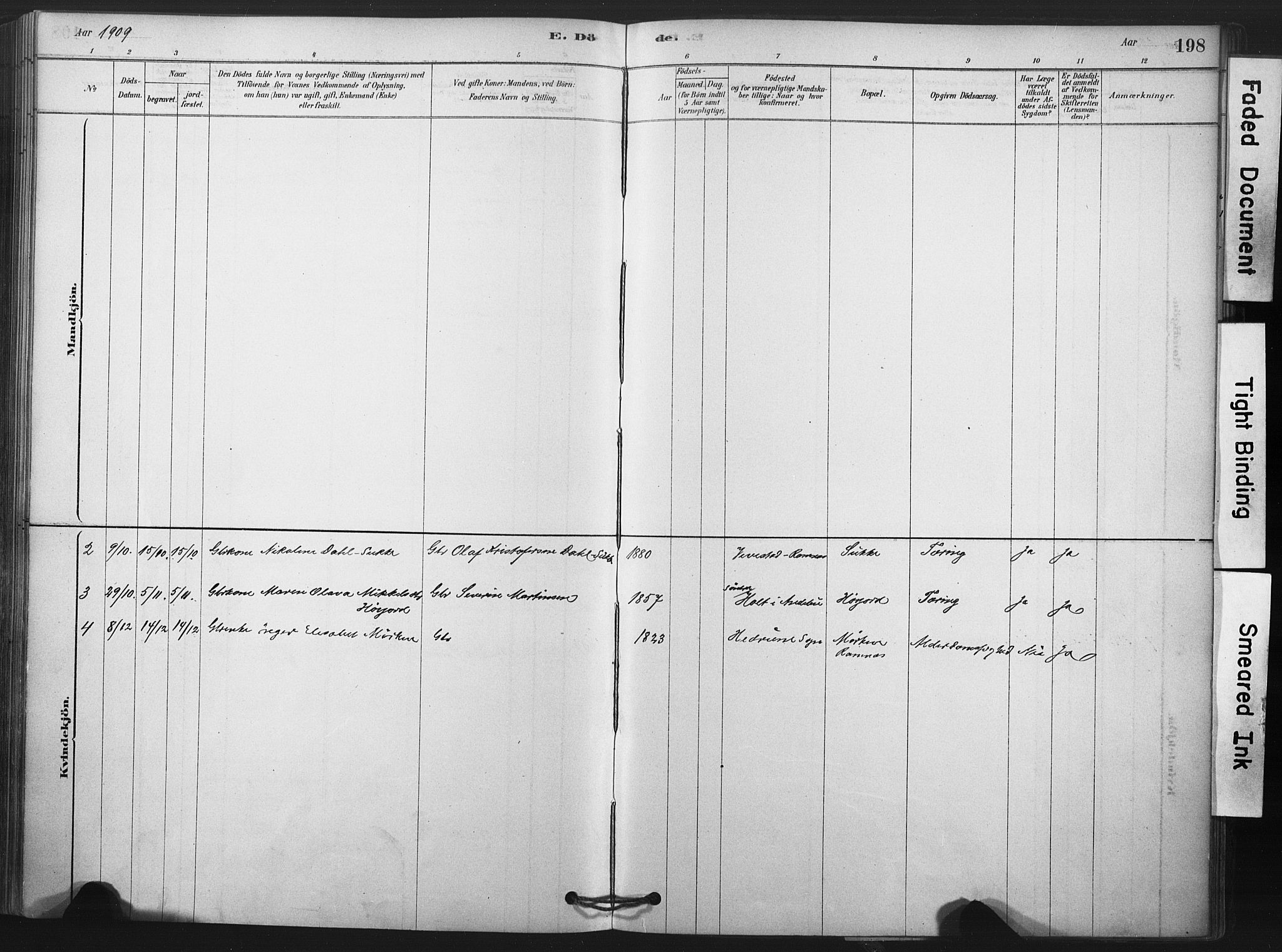 Andebu kirkebøker, SAKO/A-336/F/Fa/L0009: Parish register (official) no. 9, 1878-1909, p. 198