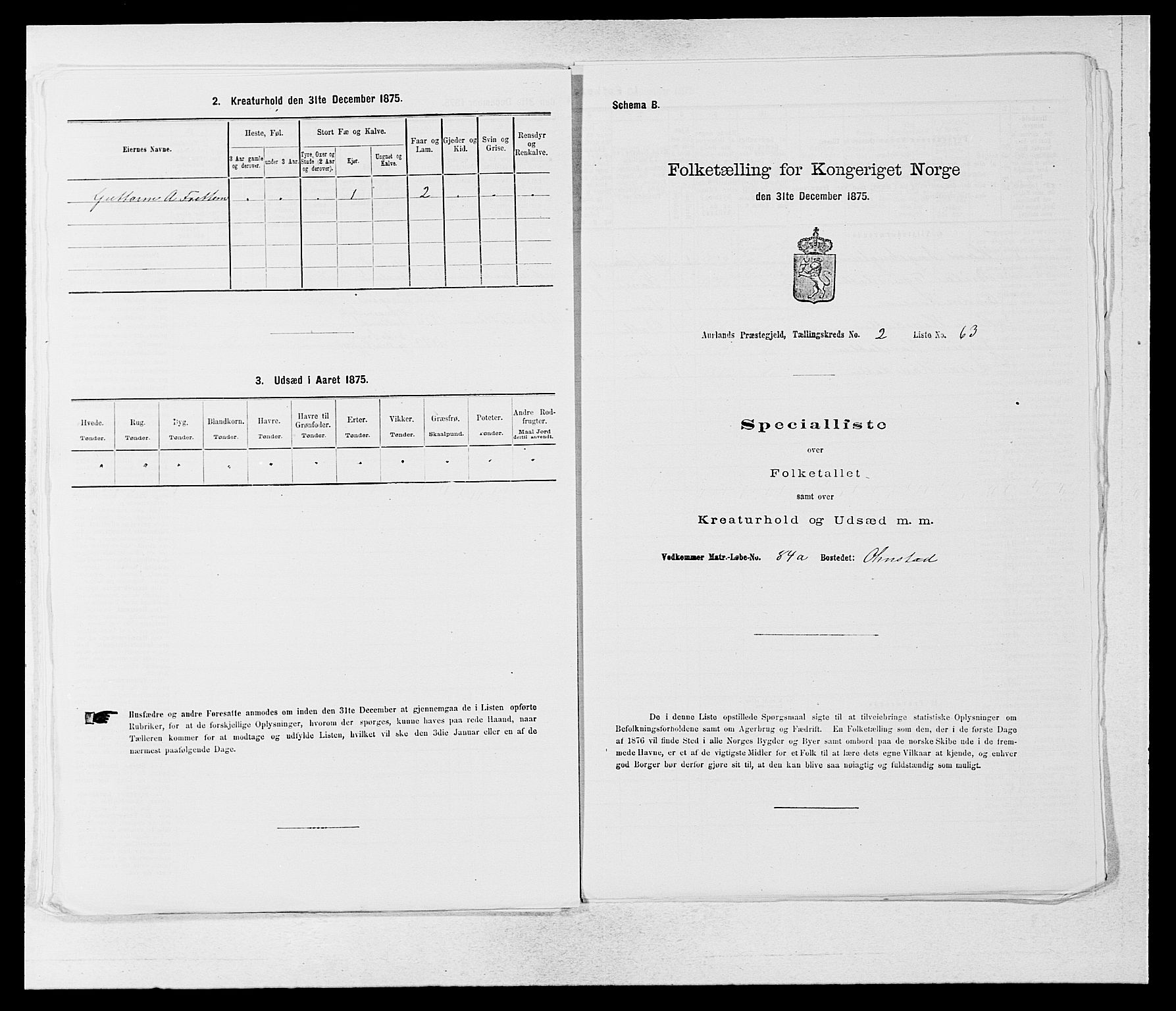 SAB, 1875 census for 1421P Aurland, 1875, p. 241