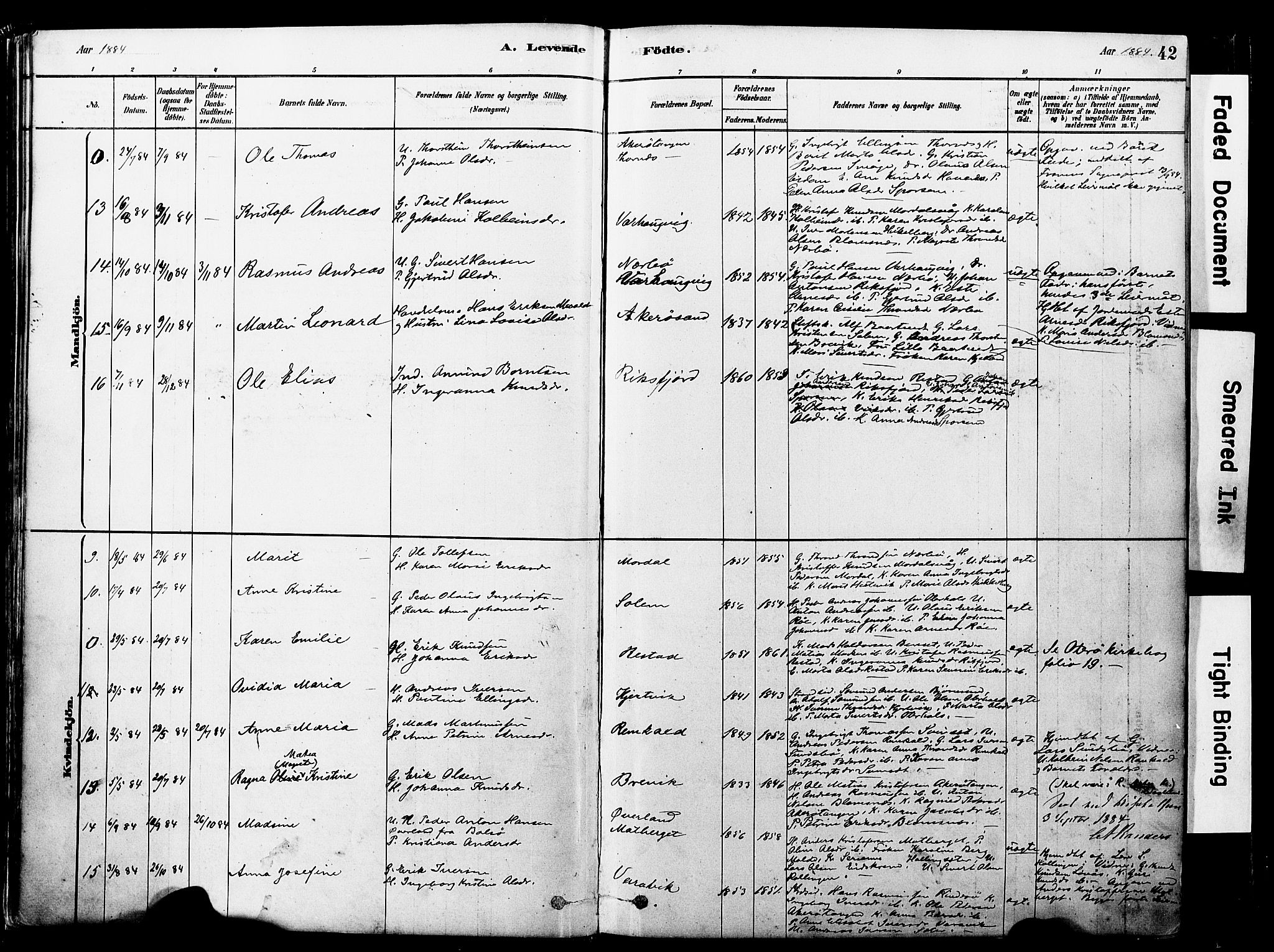 Ministerialprotokoller, klokkerbøker og fødselsregistre - Møre og Romsdal, AV/SAT-A-1454/560/L0721: Parish register (official) no. 560A05, 1878-1917, p. 42