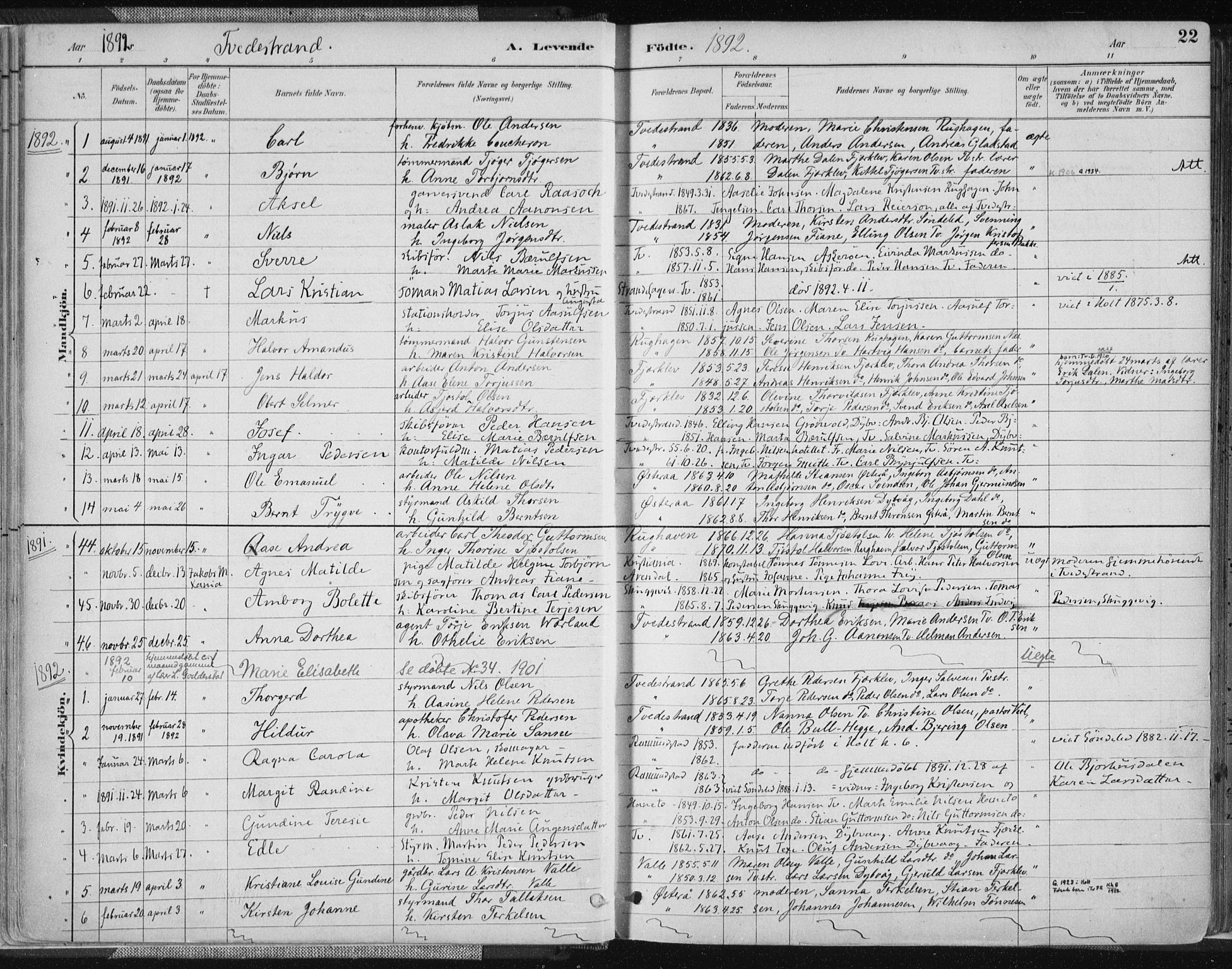 Tvedestrand sokneprestkontor, SAK/1111-0042/F/Fa/L0001: Parish register (official) no. A 1, 1885-1916, p. 22