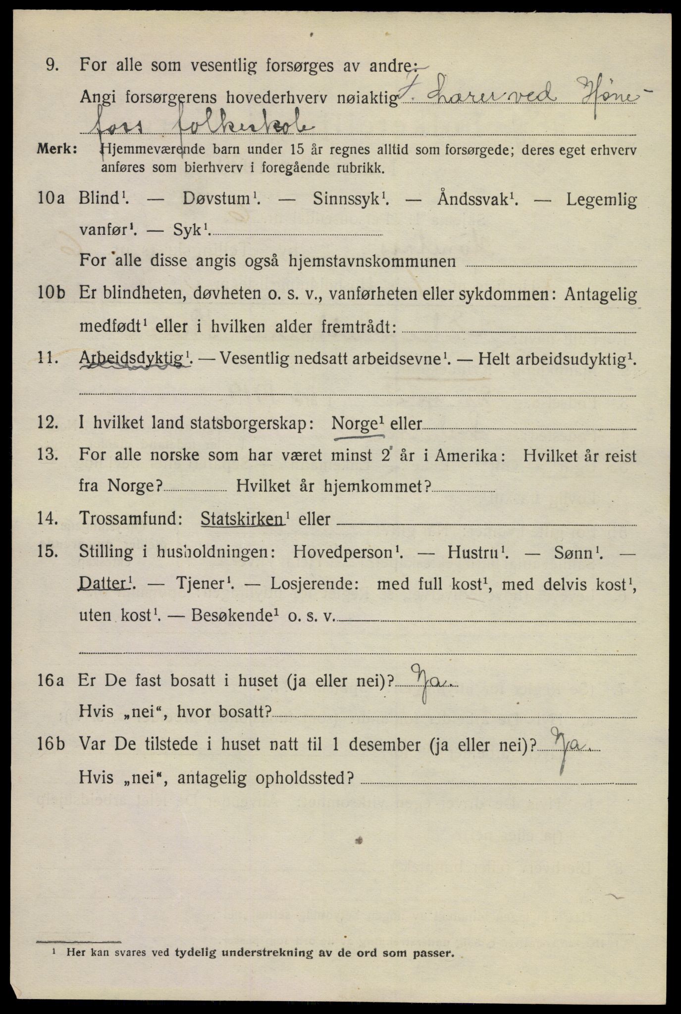 SAKO, 1920 census for Hønefoss, 1920, p. 6971