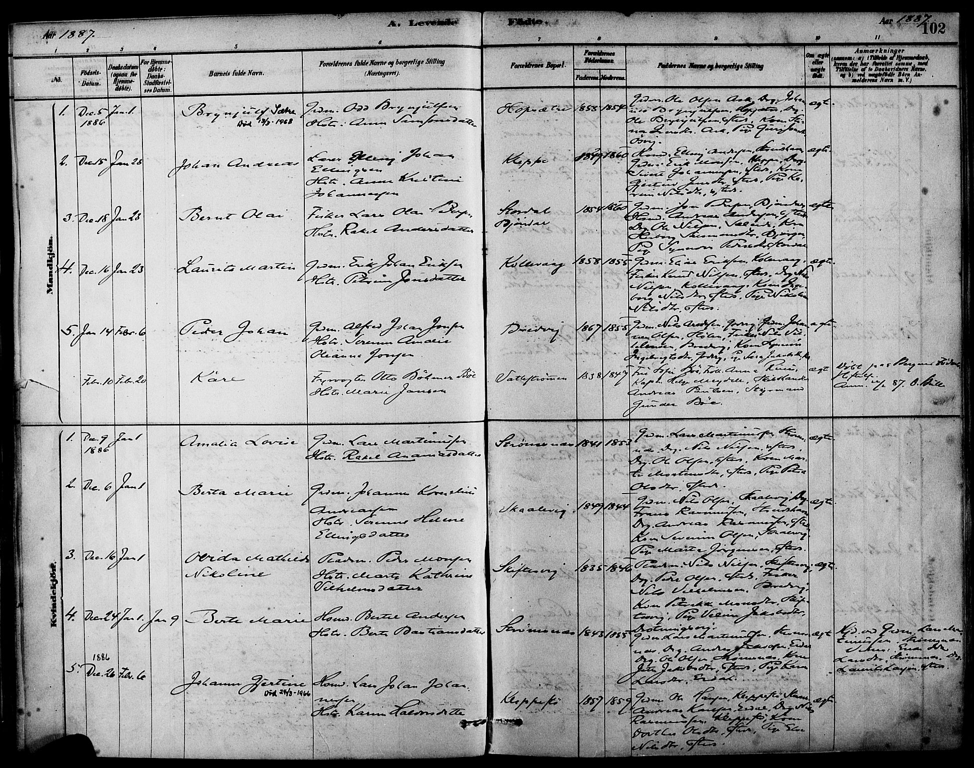 Askøy Sokneprestembete, AV/SAB-A-74101/H/Ha/Haa/Haab/L0001: Parish register (official) no. B 1, 1878-1889, p. 102