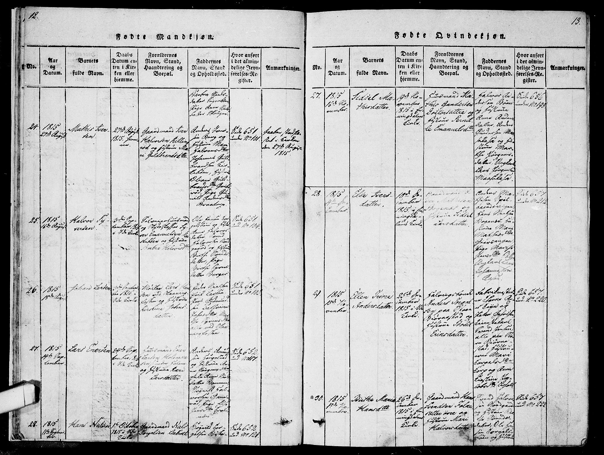 Idd prestekontor Kirkebøker, AV/SAO-A-10911/F/Fc/L0002: Parish register (official) no. III 2, 1815-1831, p. 12-13