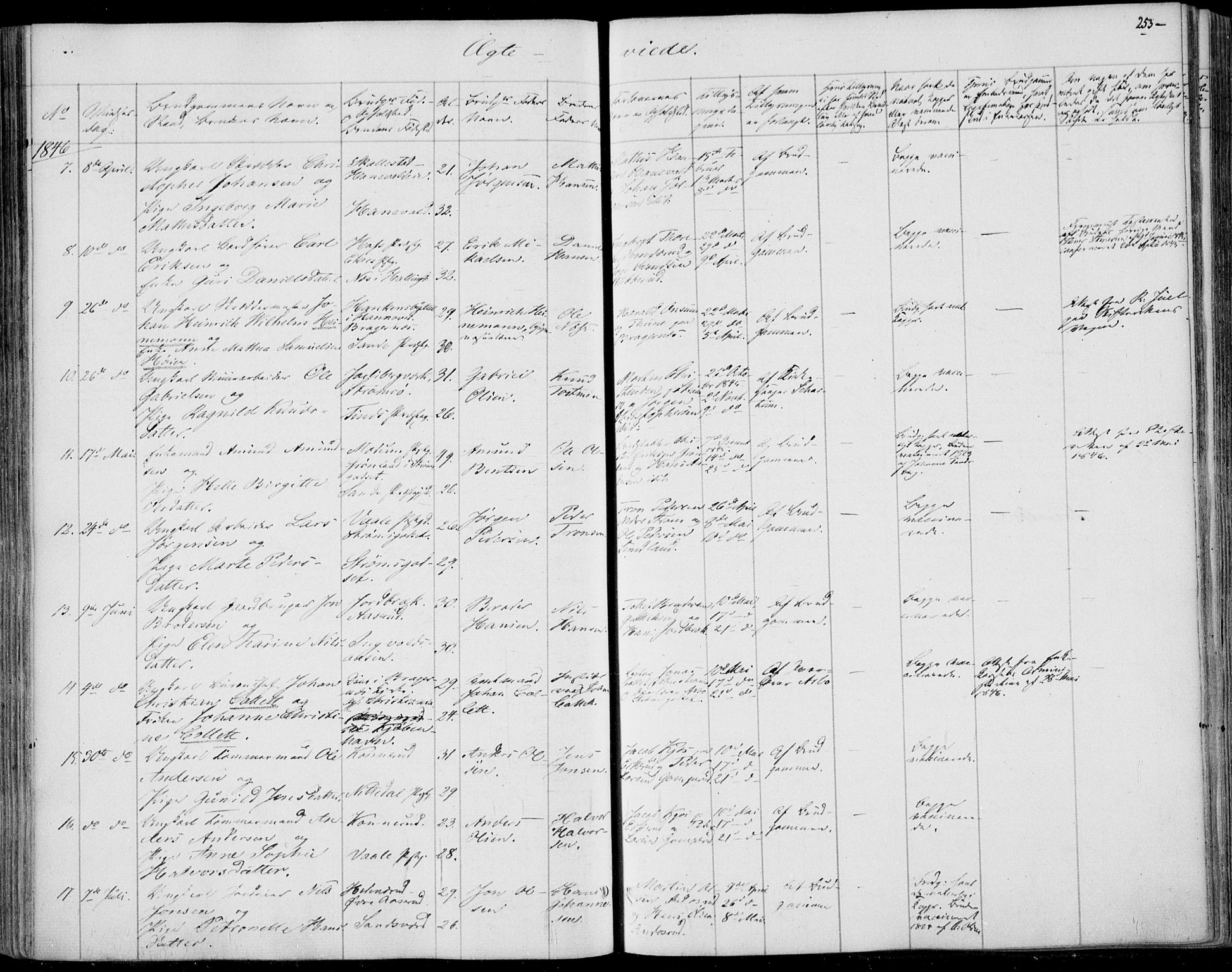 Skoger kirkebøker, SAKO/A-59/F/Fa/L0003: Parish register (official) no. I 3, 1842-1861, p. 253