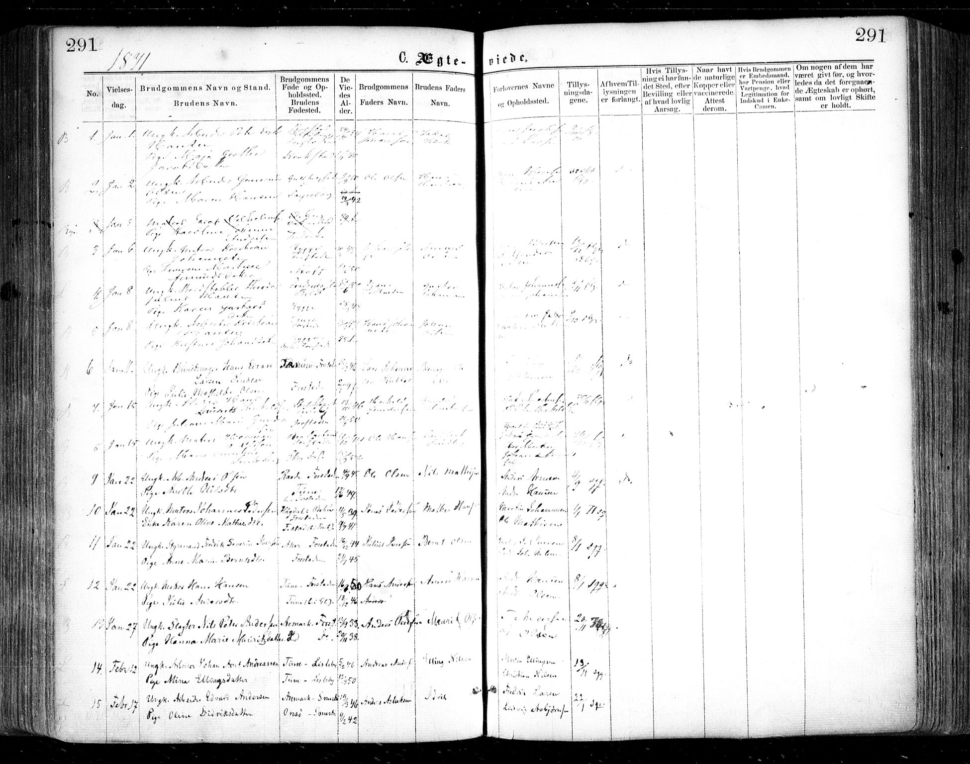 Glemmen prestekontor Kirkebøker, SAO/A-10908/F/Fa/L0008: Parish register (official) no. 8, 1862-1871, p. 291