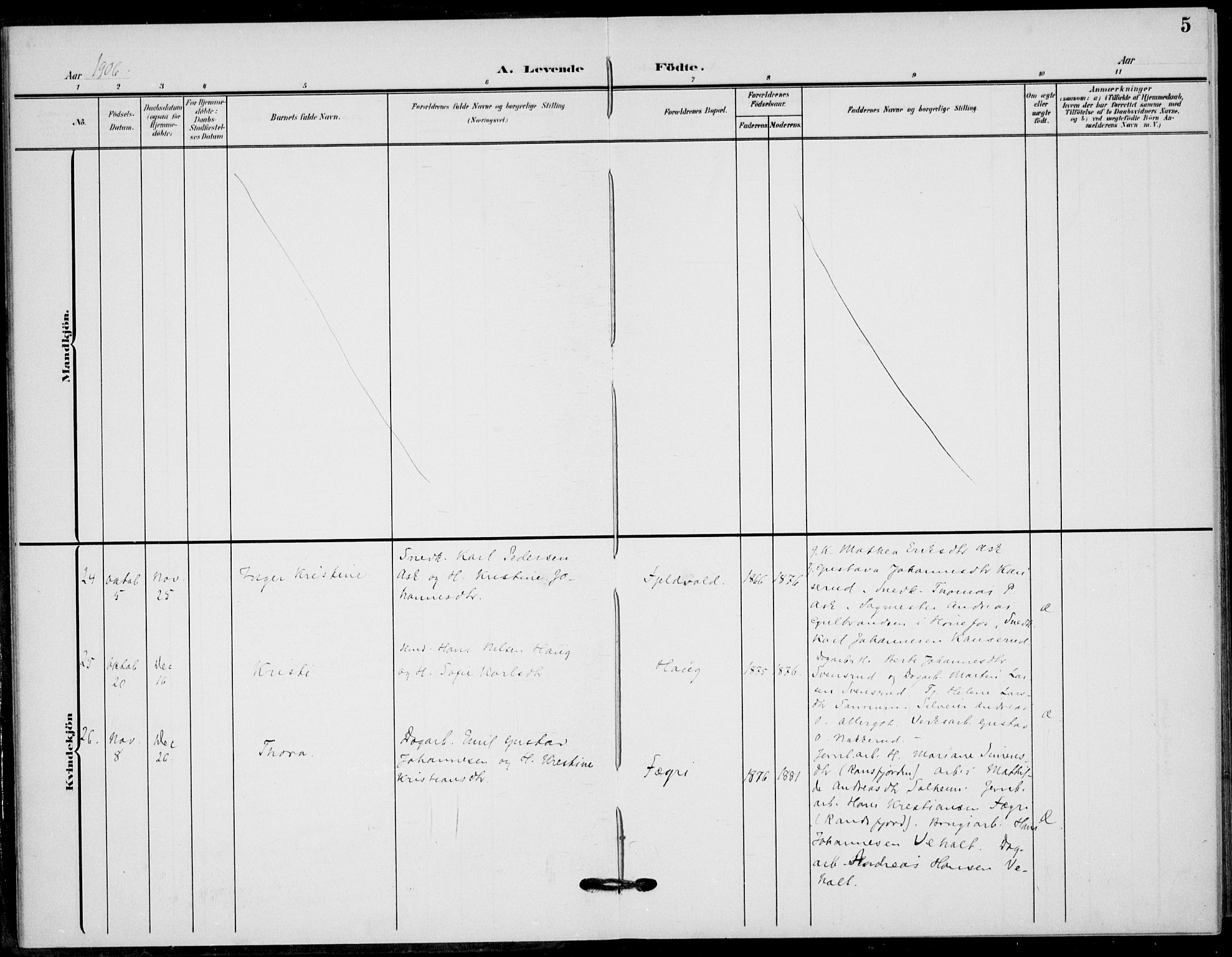 Hole kirkebøker, AV/SAKO-A-228/F/Fb/L0003: Parish register (official) no. II 3, 1906-1916, p. 5