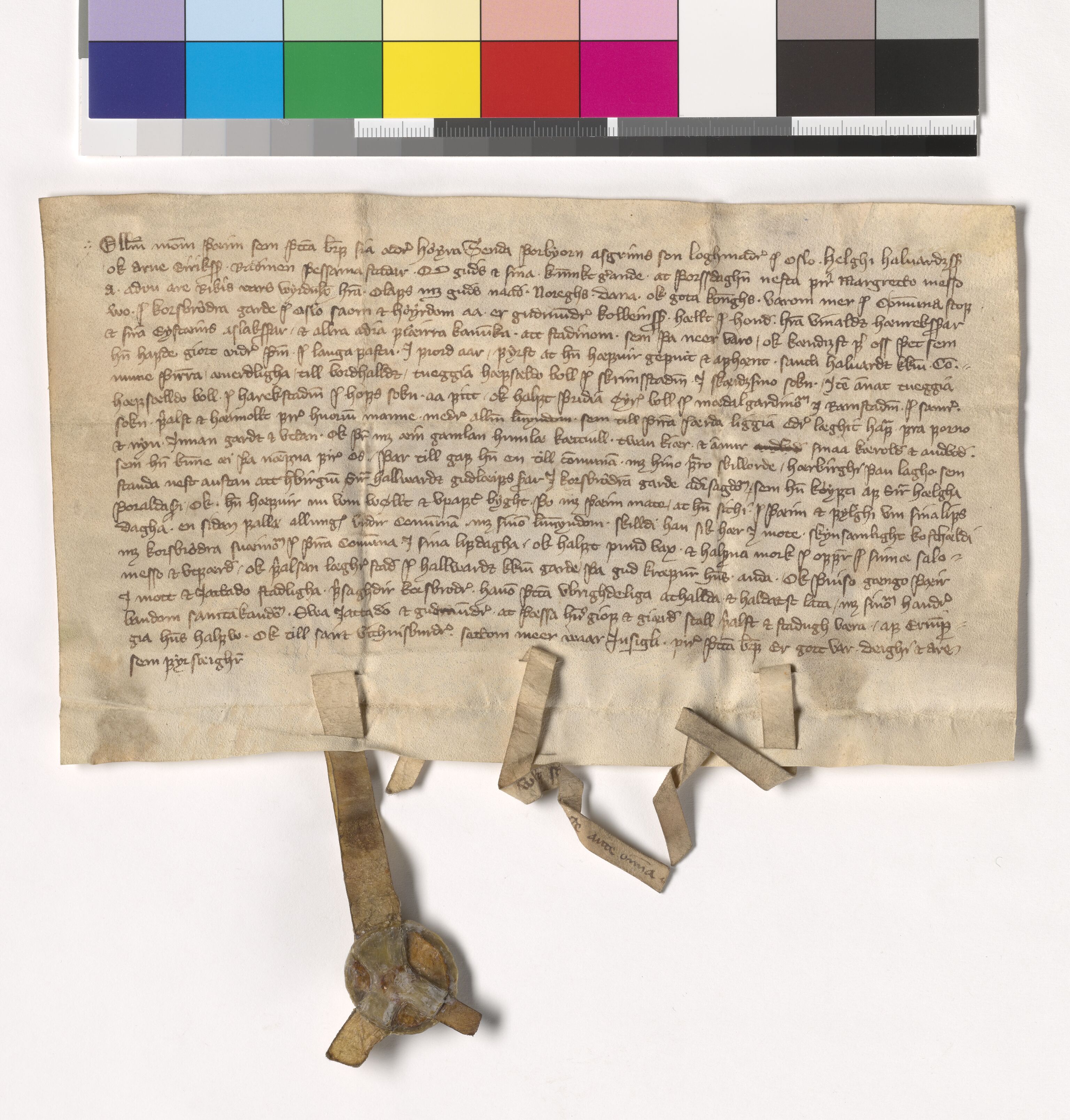Riksarkivets diplomsamling, AV/RA-EA-5965/F05/L0181: NRA AM fasc. 74 nr. 9-13, 1383, p. 2