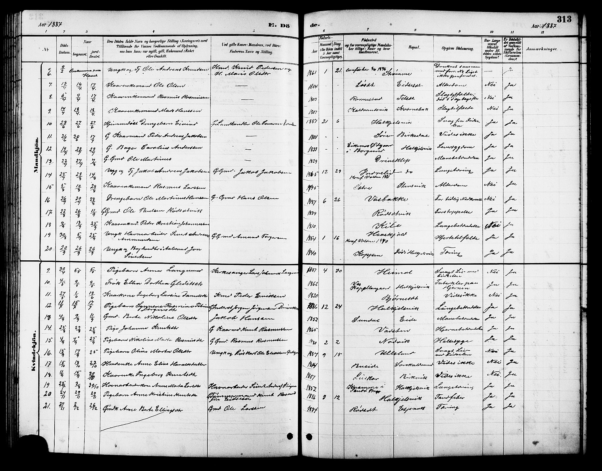 Ministerialprotokoller, klokkerbøker og fødselsregistre - Møre og Romsdal, AV/SAT-A-1454/511/L0158: Parish register (copy) no. 511C04, 1884-1903, p. 313