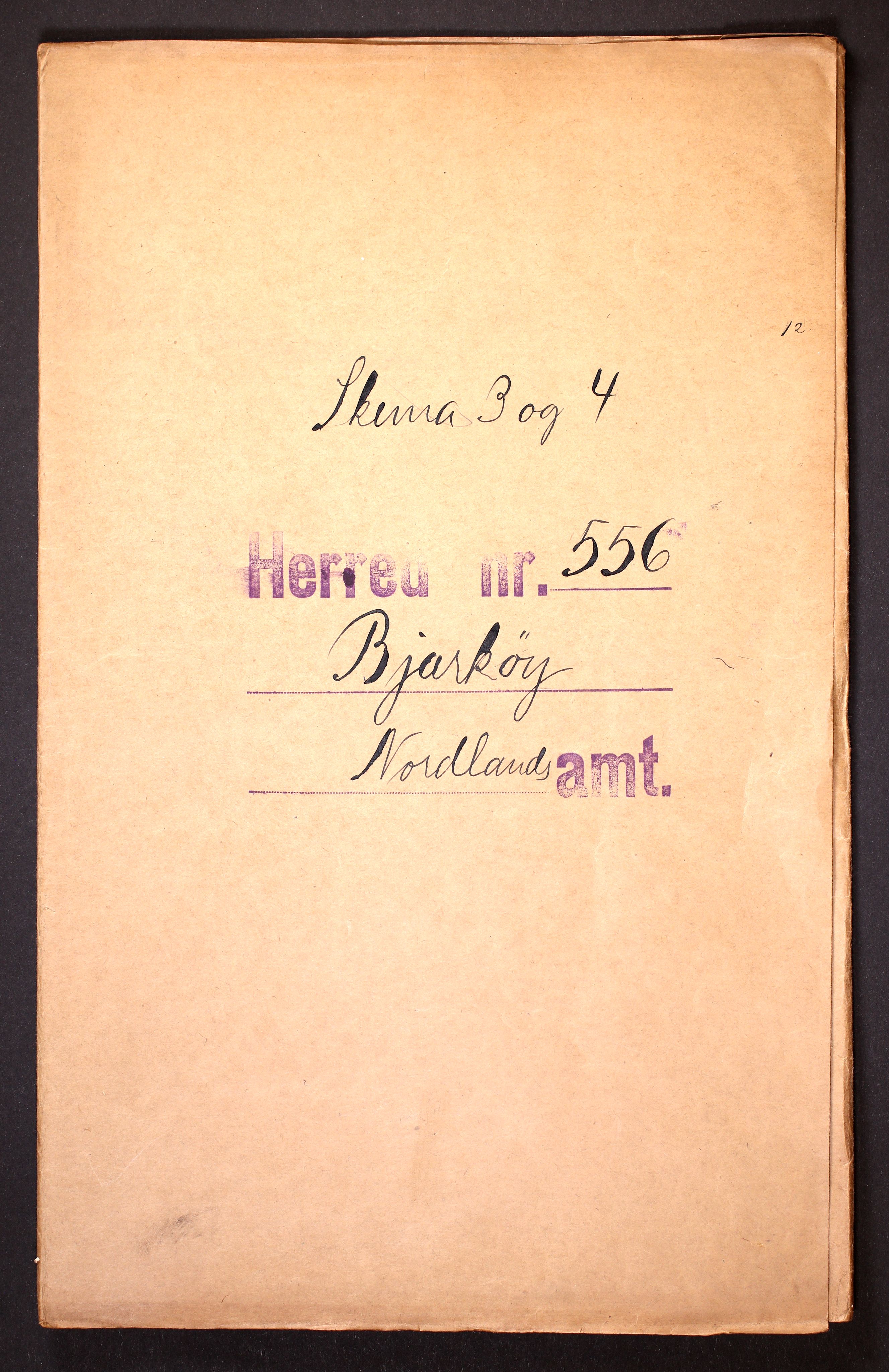 RA, 1910 census for Bjarkøy, 1910, p. 1