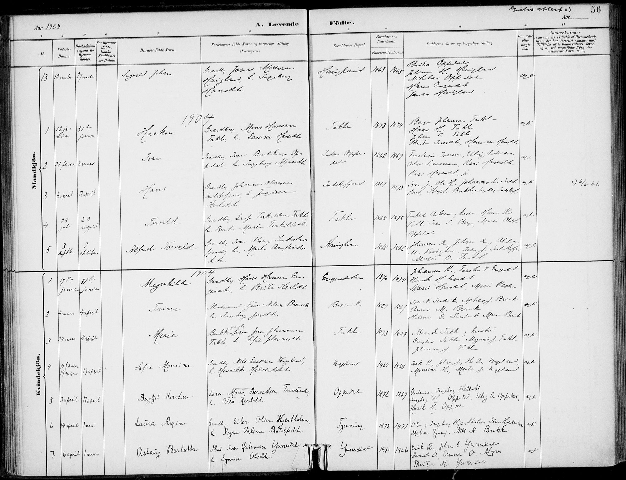 Gulen sokneprestembete, SAB/A-80201/H/Haa/Haac/L0002: Parish register (official) no. C  2, 1882-1914, p. 56