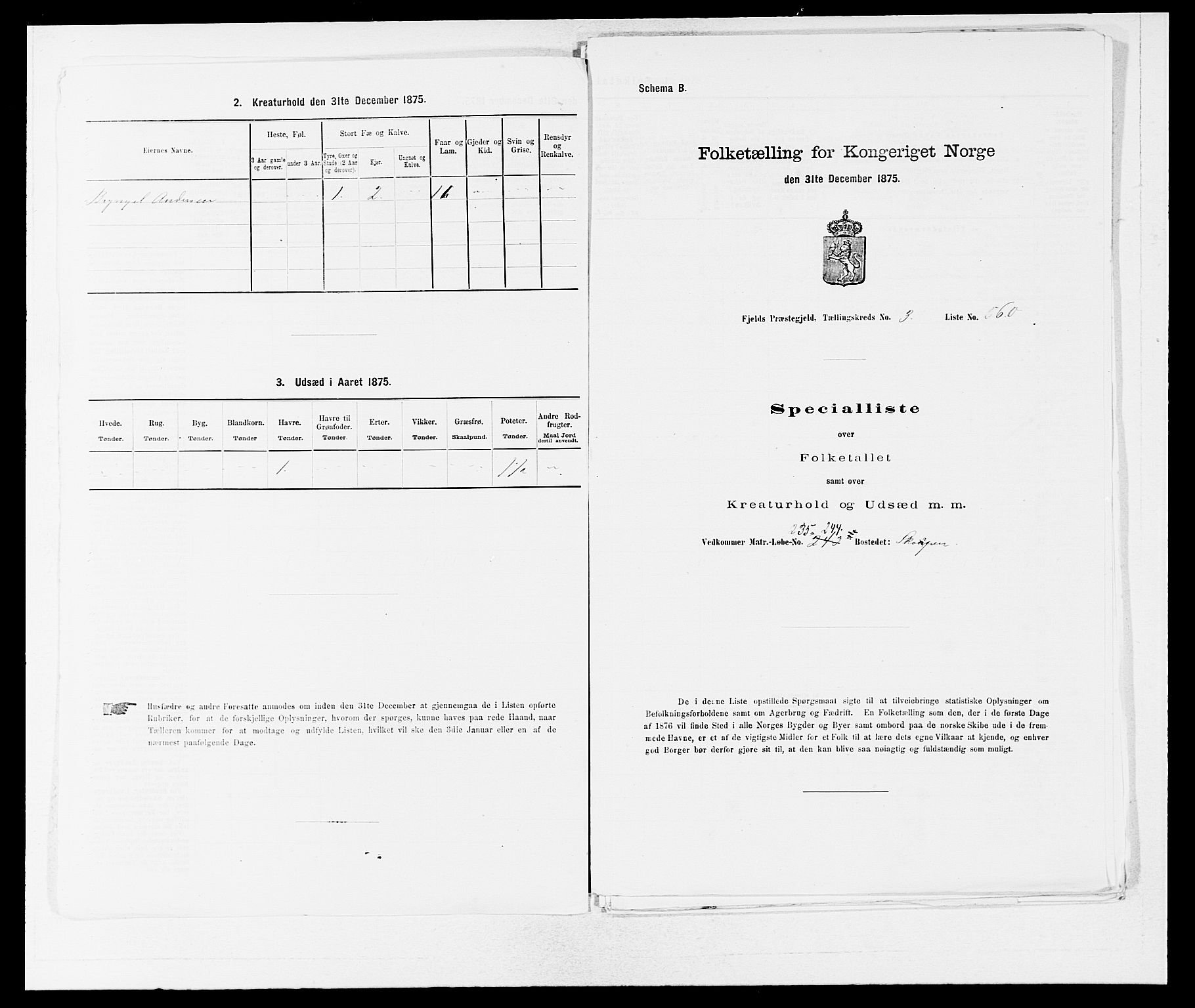 SAB, 1875 census for 1246P Fjell, 1875, p. 407