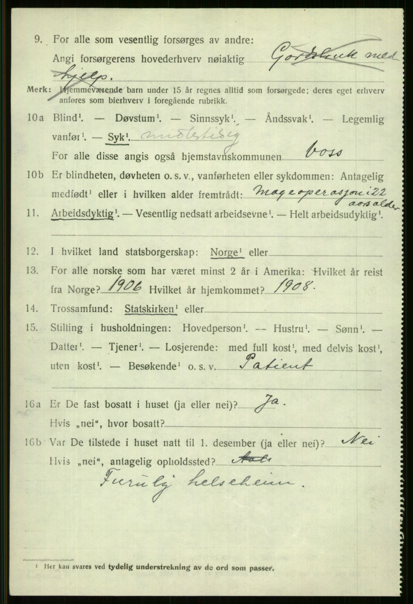 SAB, 1920 census for Voss, 1920, p. 19266