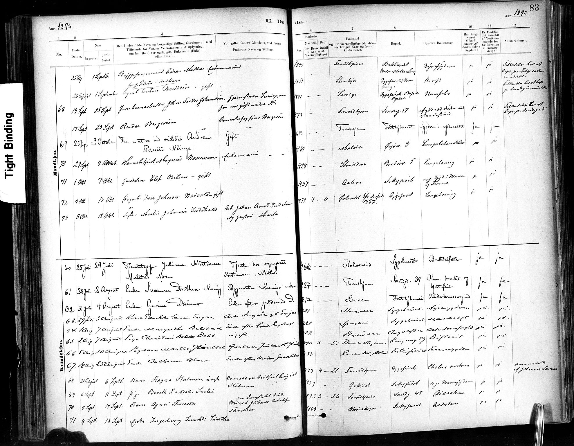 Ministerialprotokoller, klokkerbøker og fødselsregistre - Sør-Trøndelag, SAT/A-1456/602/L0120: Parish register (official) no. 602A18, 1880-1913, p. 83