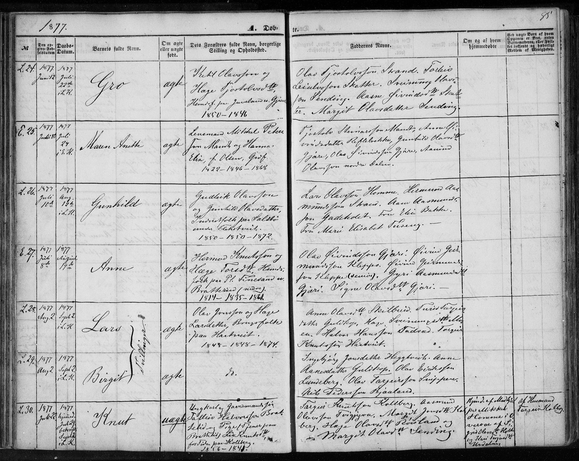 Lårdal kirkebøker, AV/SAKO-A-284/F/Fa/L0006: Parish register (official) no. I 6, 1861-1886, p. 85