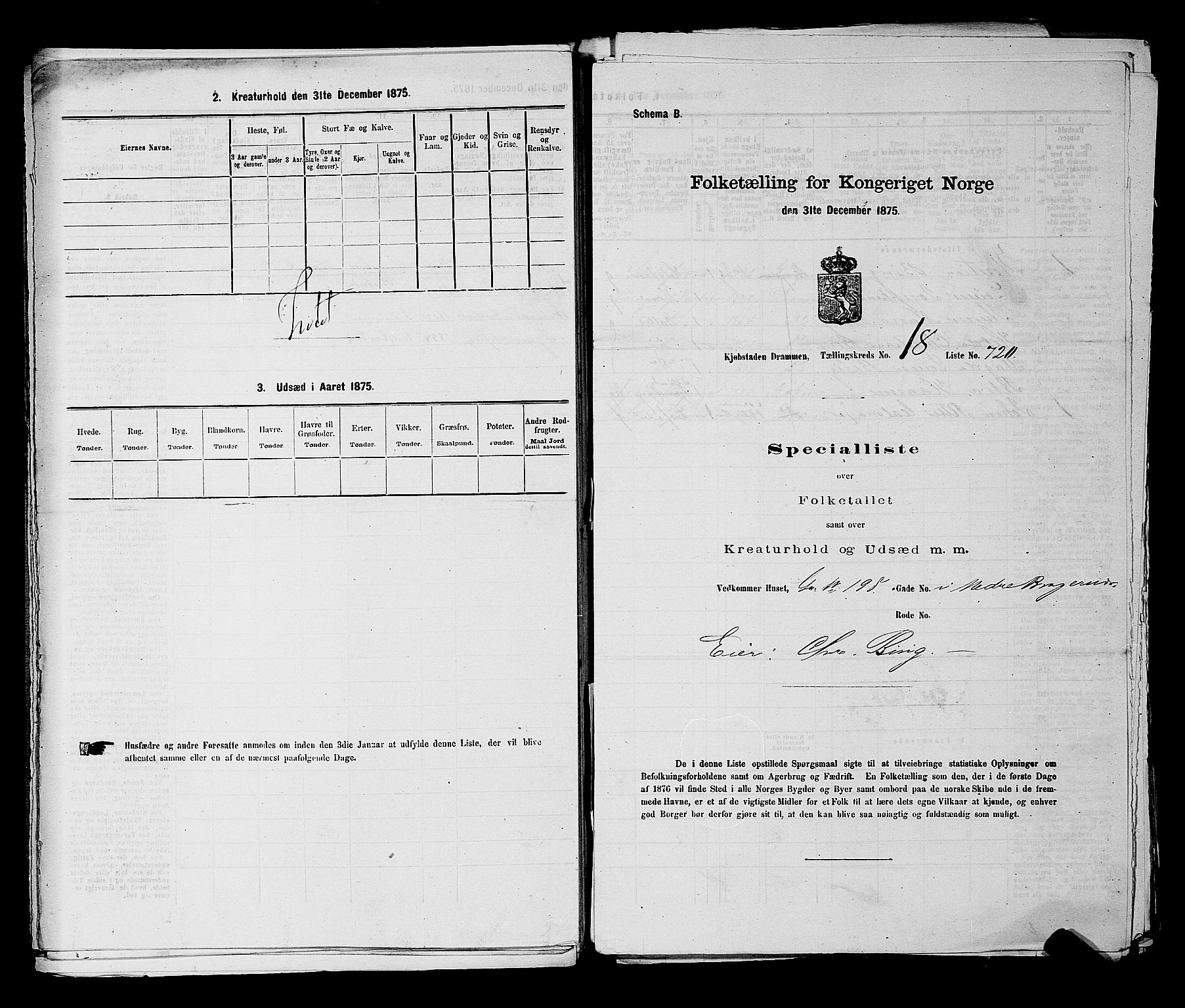 SAKO, 1875 census for 0602 Drammen, 1875, p. 2008