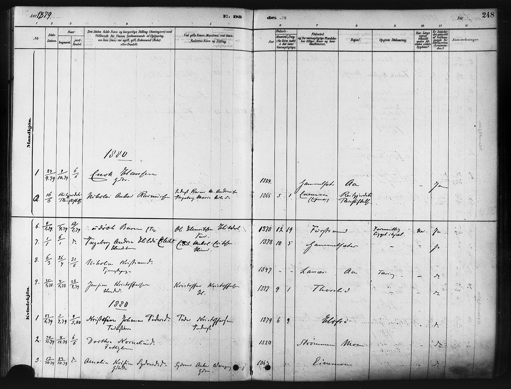 Tranøy sokneprestkontor, SATØ/S-1313/I/Ia/Iaa/L0009kirke: Parish register (official) no. 9, 1878-1904, p. 248