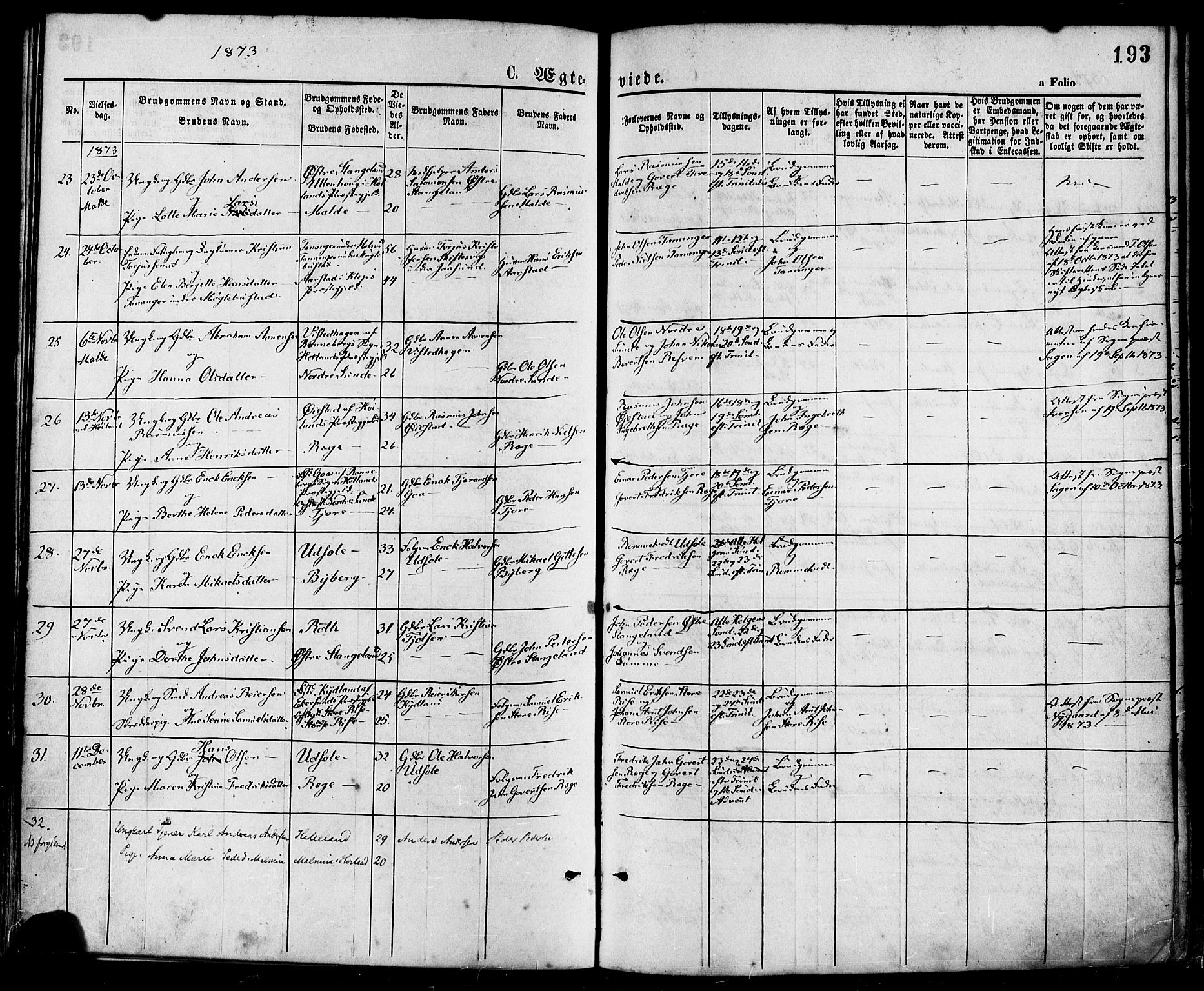 Håland sokneprestkontor, SAST/A-101802/001/30BA/L0009: Parish register (official) no. A 8, 1871-1882, p. 193