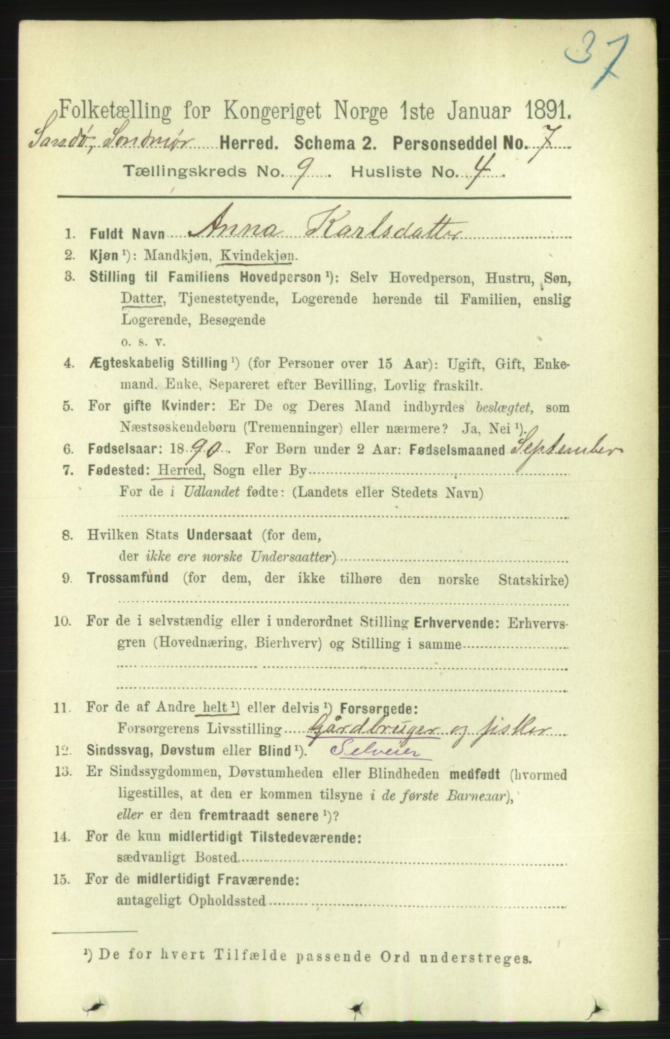 RA, 1891 census for 1514 Sande, 1891, p. 1519