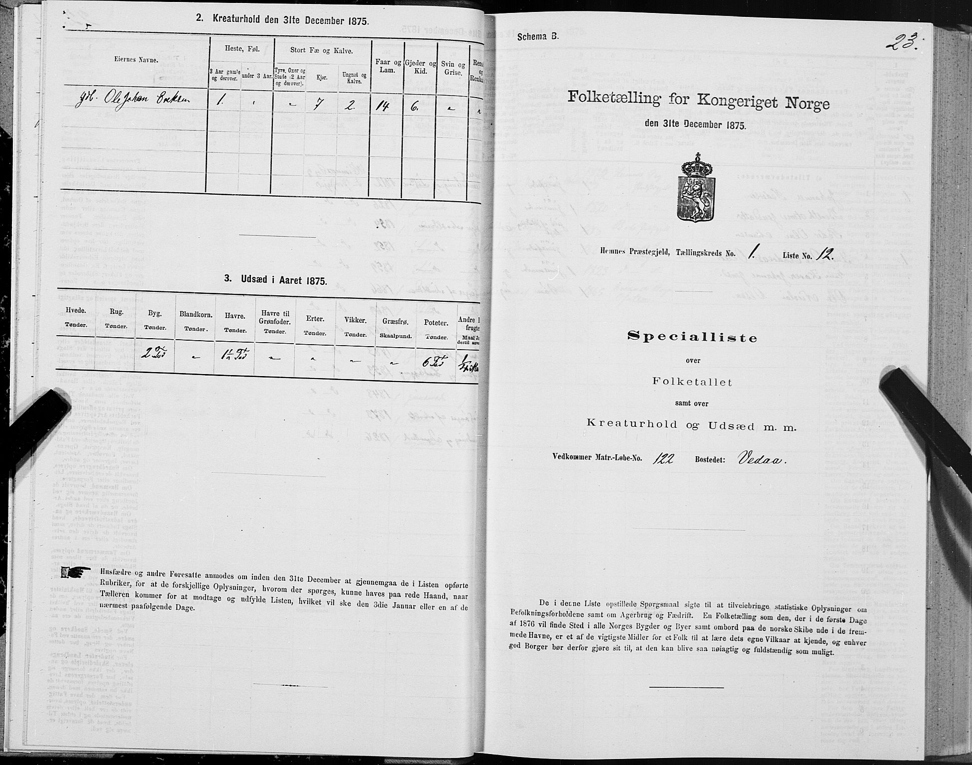 SAT, 1875 census for 1832P Hemnes, 1875, p. 1023