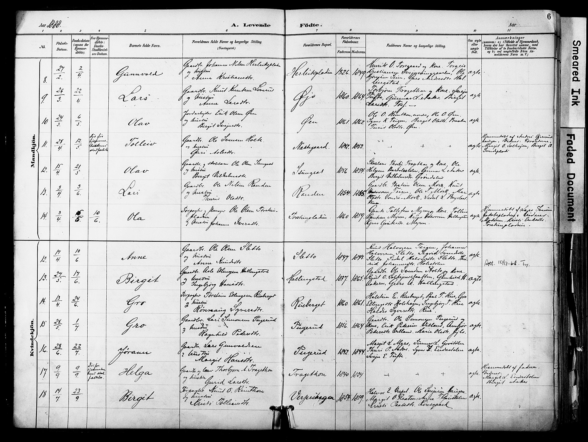 Hol kirkebøker, AV/SAKO-A-227/F/Fa/L0003: Parish register (official) no. I 3, 1887-1918, p. 6