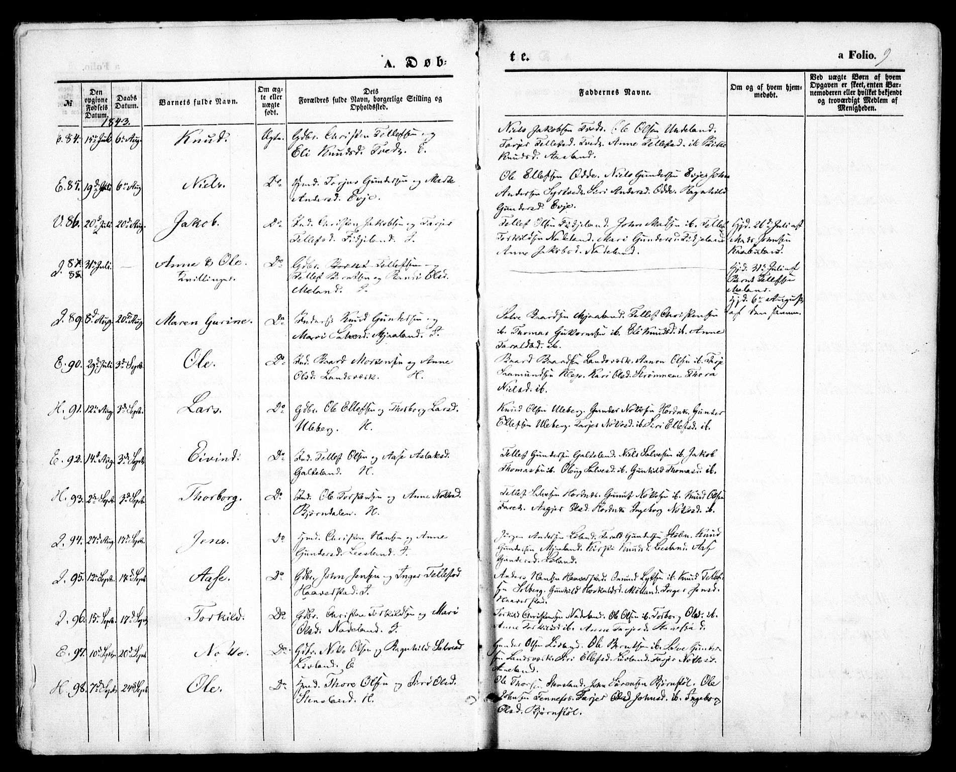 Evje sokneprestkontor, AV/SAK-1111-0008/F/Fa/Faa/L0005: Parish register (official) no. A 5, 1843-1865, p. 9