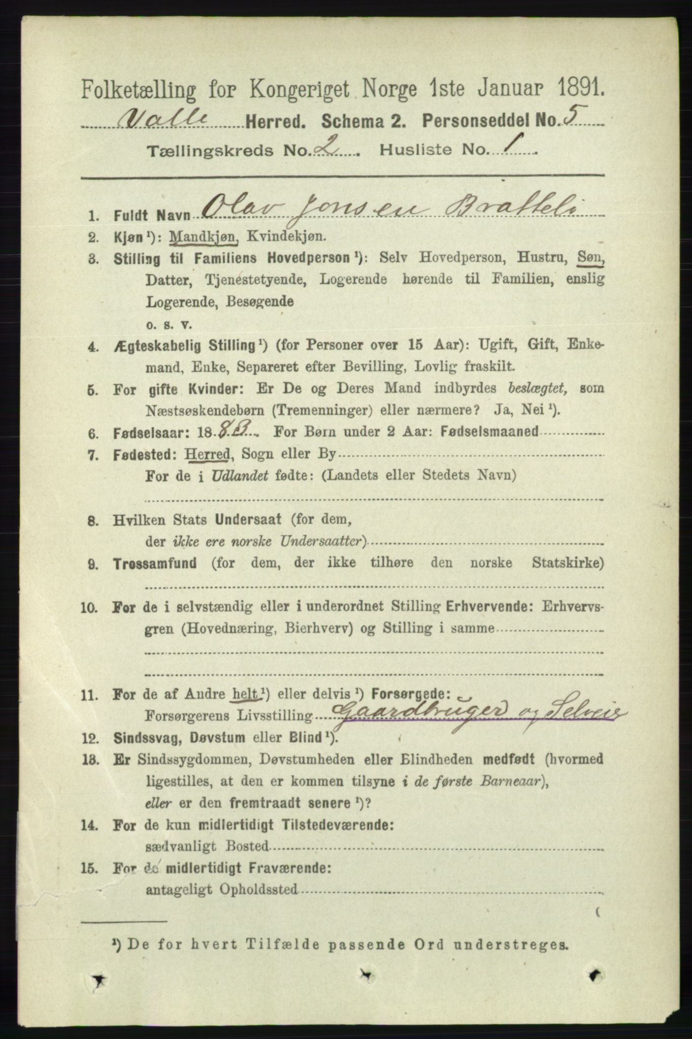 RA, 1891 census for 0940 Valle, 1891, p. 376