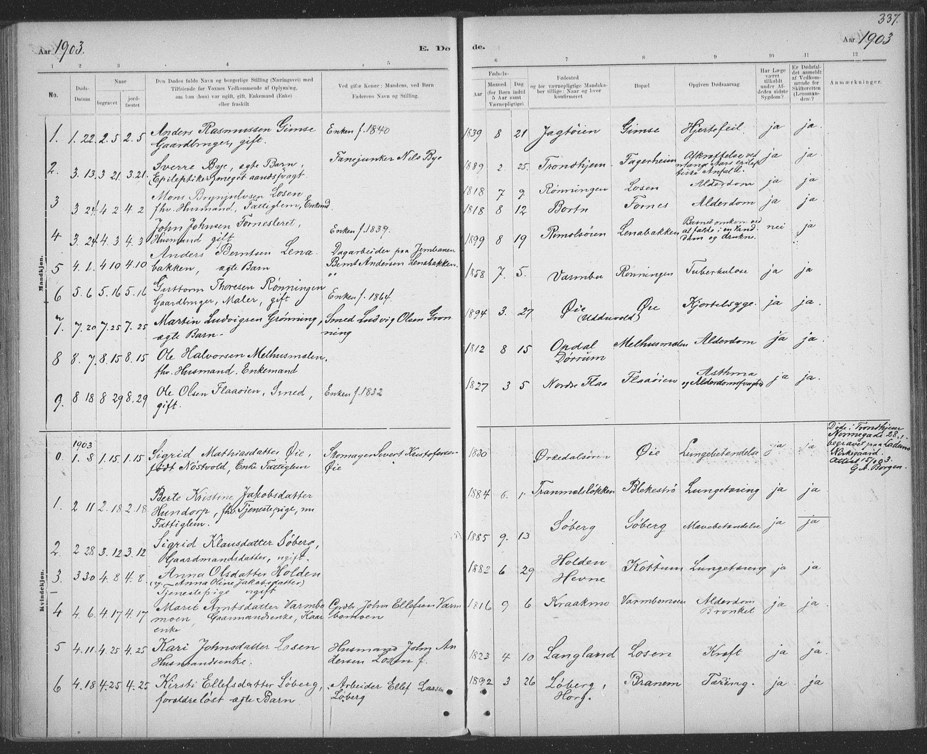 Ministerialprotokoller, klokkerbøker og fødselsregistre - Sør-Trøndelag, AV/SAT-A-1456/691/L1085: Parish register (official) no. 691A17, 1887-1908, p. 337