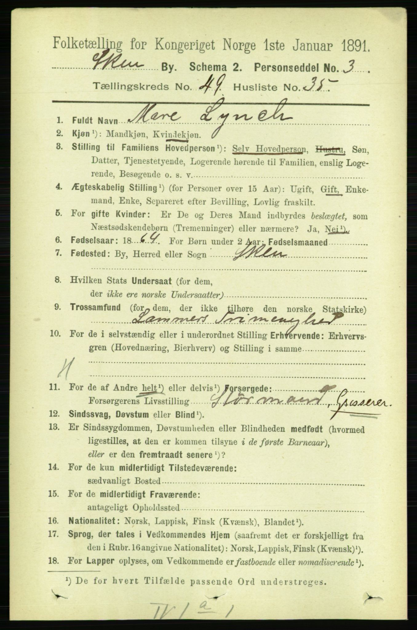 RA, 1891 census for 0806 Skien, 1891, p. 10648