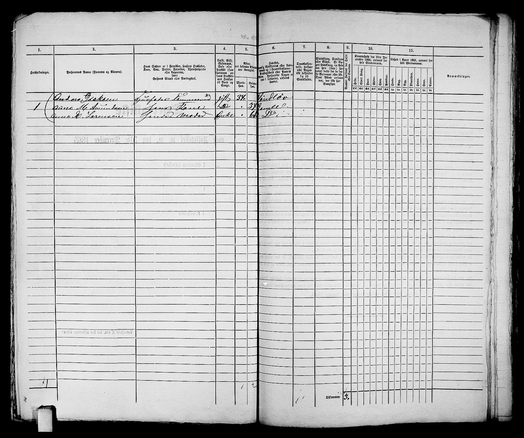 RA, 1865 census for Kragerø/Kragerø, 1865, p. 523