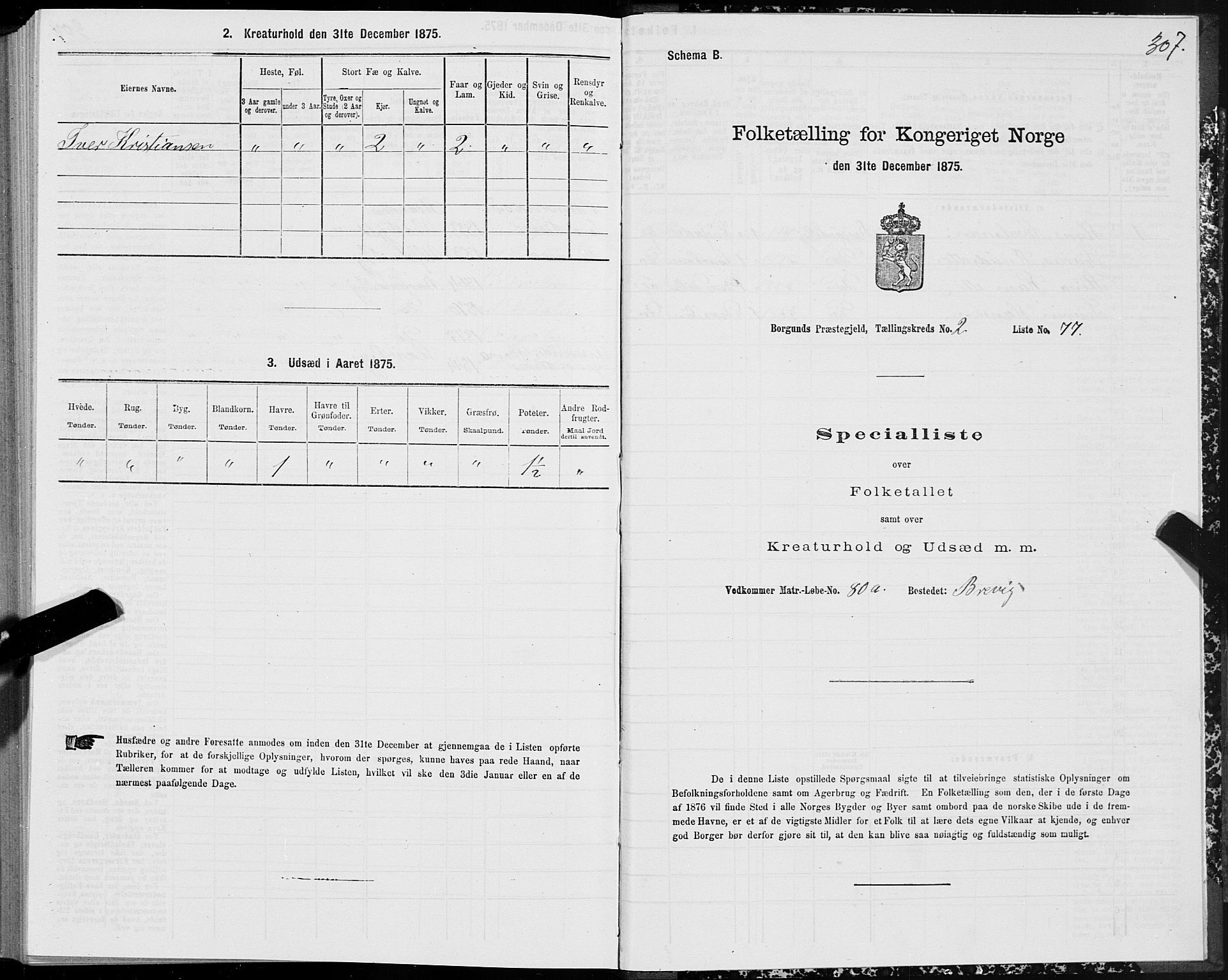 SAT, 1875 census for 1531P Borgund, 1875, p. 1307