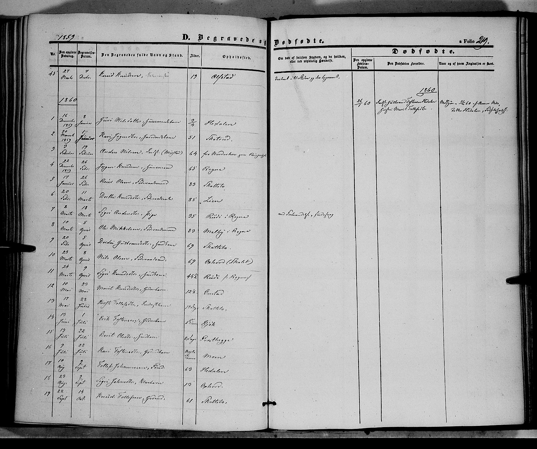 Øystre Slidre prestekontor, SAH/PREST-138/H/Ha/Haa/L0001: Parish register (official) no. 1, 1849-1874, p. 219