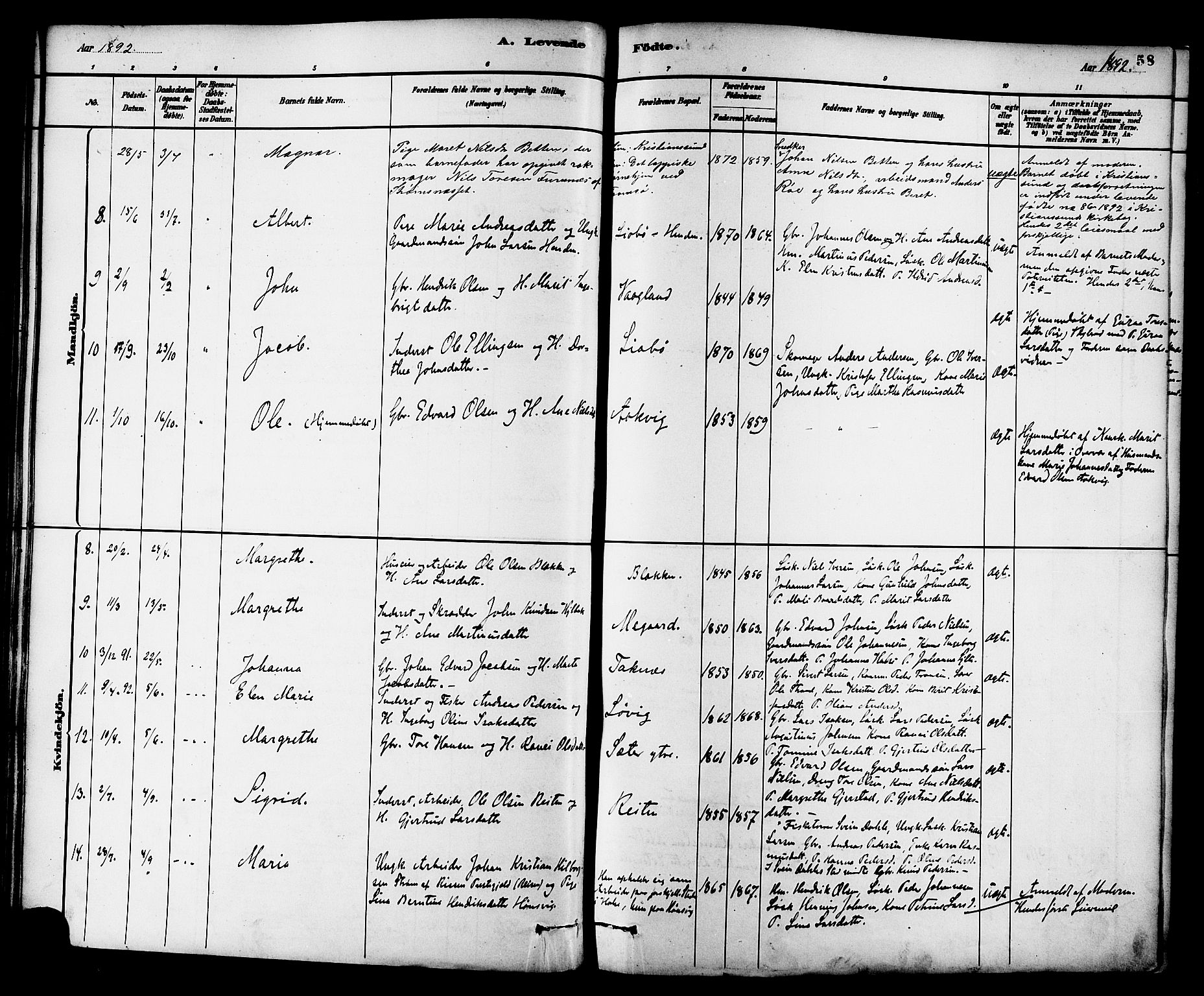 Ministerialprotokoller, klokkerbøker og fødselsregistre - Møre og Romsdal, SAT/A-1454/576/L0885: Parish register (official) no. 576A03, 1880-1898, p. 58