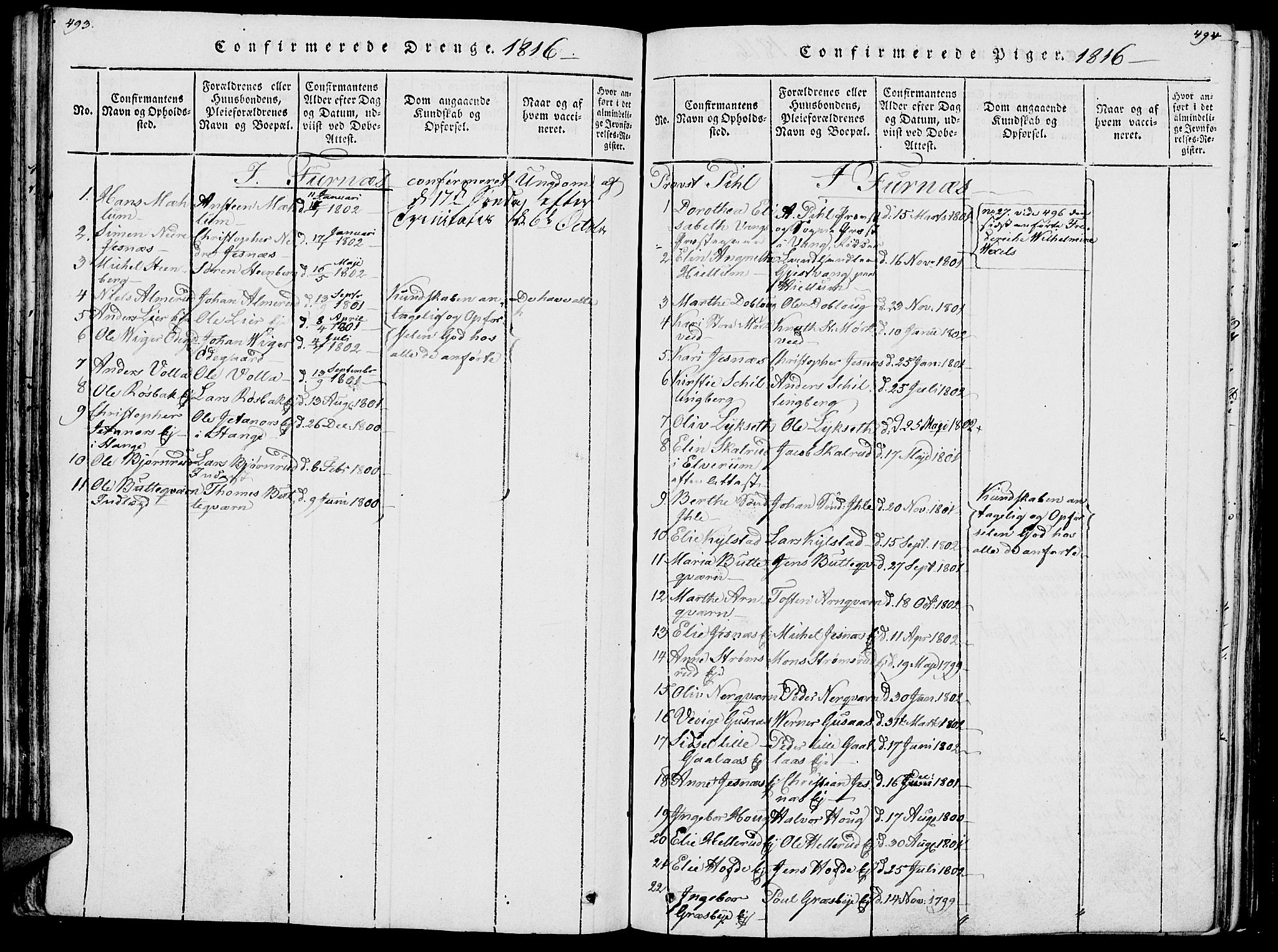Vang prestekontor, Hedmark, SAH/PREST-008/H/Ha/Haa/L0007: Parish register (official) no. 7, 1813-1826, p. 493-494