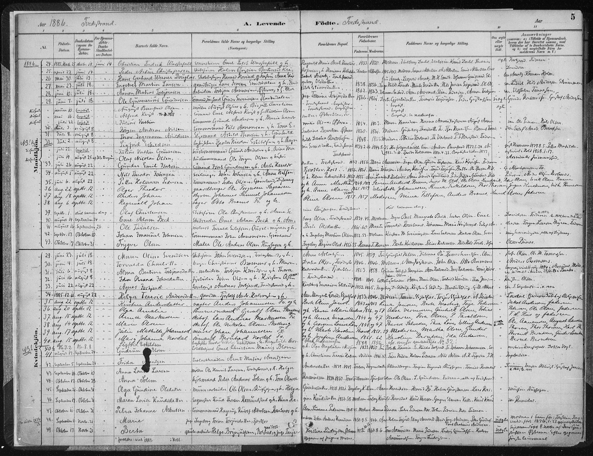 Tvedestrand sokneprestkontor, SAK/1111-0042/F/Fa/L0001: Parish register (official) no. A 1, 1885-1916, p. 5