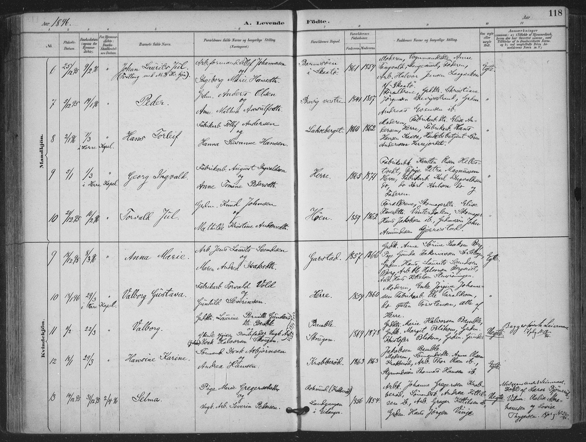 Bamble kirkebøker, AV/SAKO-A-253/F/Fa/L0008: Parish register (official) no. I 8, 1888-1900, p. 118