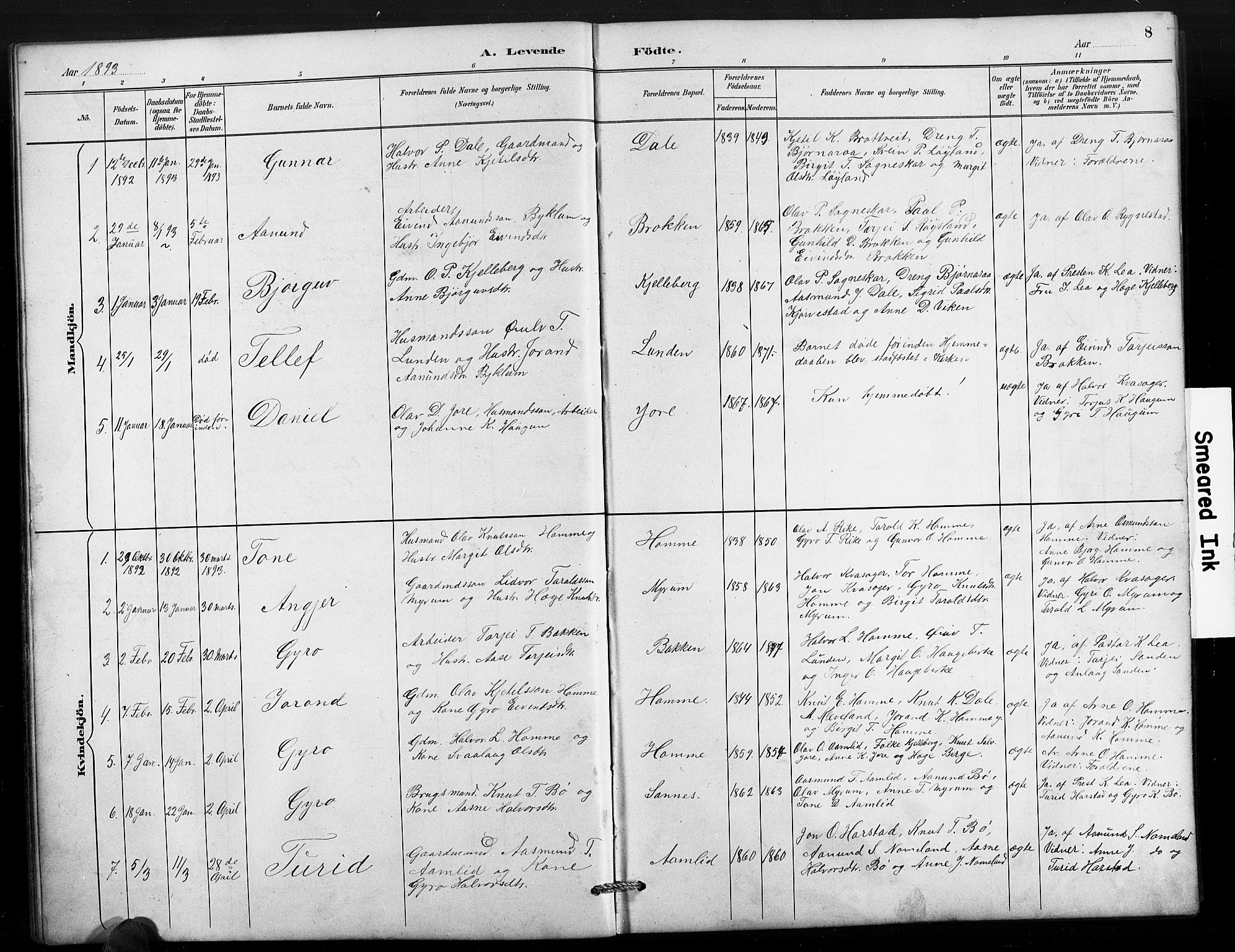 Valle sokneprestkontor, AV/SAK-1111-0044/F/Fb/Fbc/L0004: Parish register (copy) no. B 4, 1890-1928, p. 8