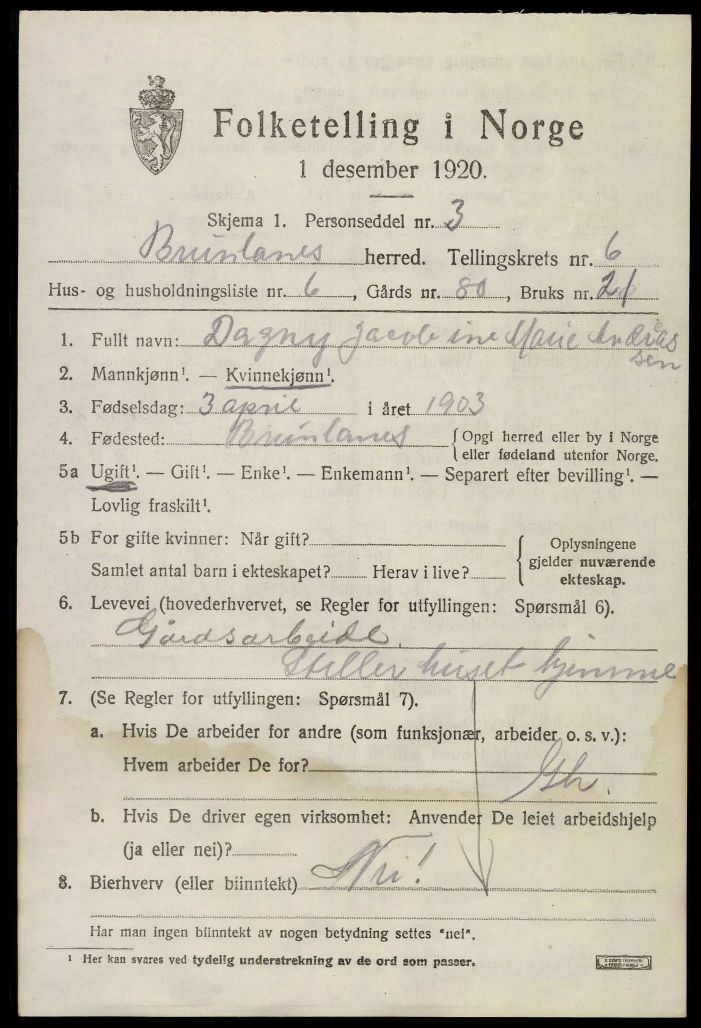SAKO, 1920 census for Brunlanes, 1920, p. 6829
