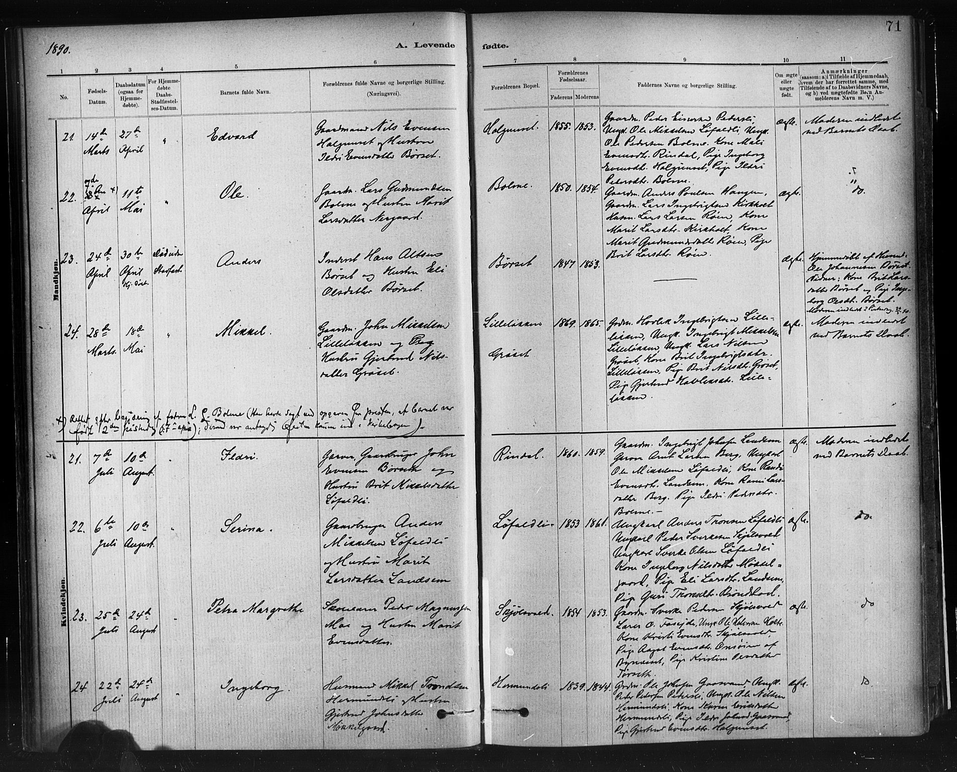 Ministerialprotokoller, klokkerbøker og fødselsregistre - Møre og Romsdal, AV/SAT-A-1454/598/L1069: Parish register (official) no. 598A03, 1882-1895, p. 71