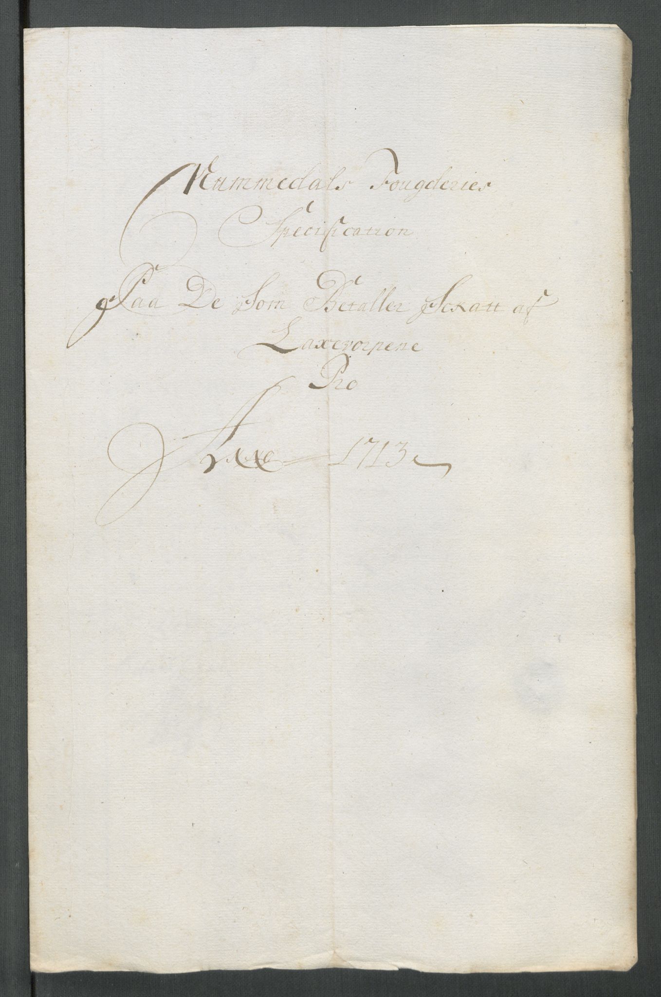 Rentekammeret inntil 1814, Reviderte regnskaper, Fogderegnskap, RA/EA-4092/R64/L4434: Fogderegnskap Namdal, 1713, p. 128