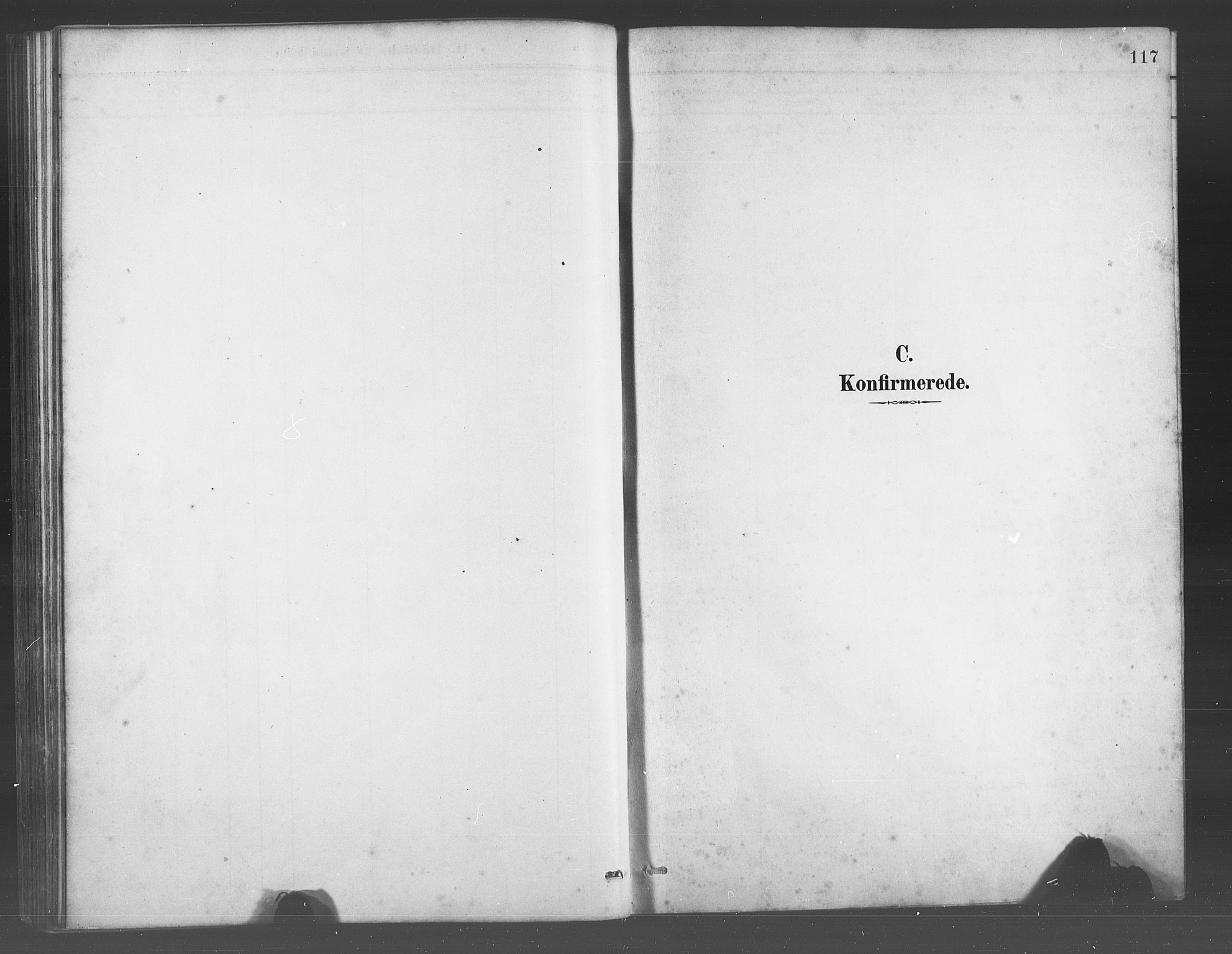 Fusa sokneprestembete, AV/SAB-A-75401/H/Hab: Parish register (copy) no. C 2, 1886-1926, p. 117