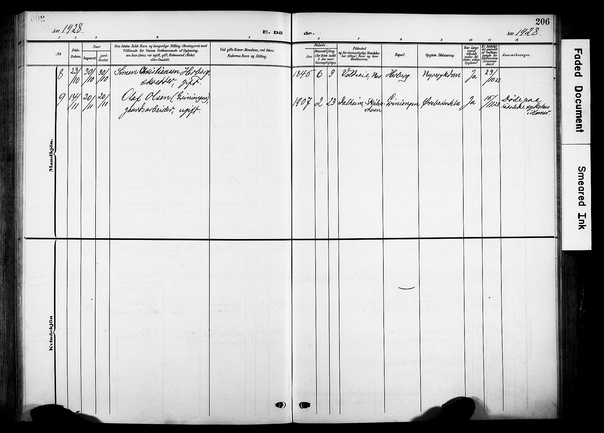 Nes prestekontor, Hedmark, AV/SAH-PREST-020/K/Ka/L0014: Parish register (official) no. 14, 1906-1929, p. 206