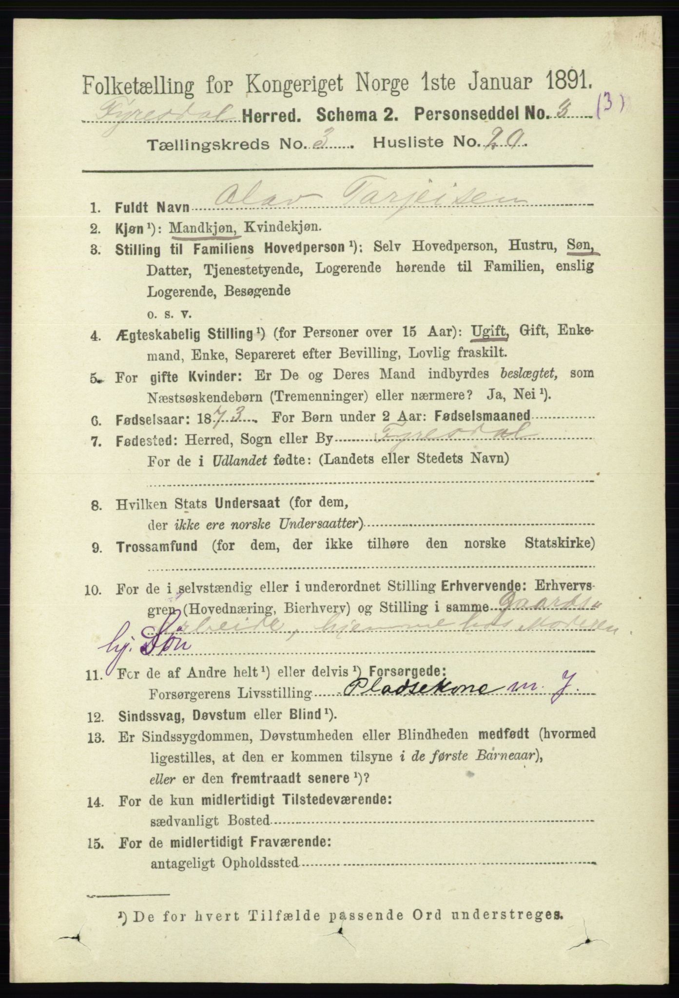 RA, 1891 census for 0831 Fyresdal, 1891, p. 586