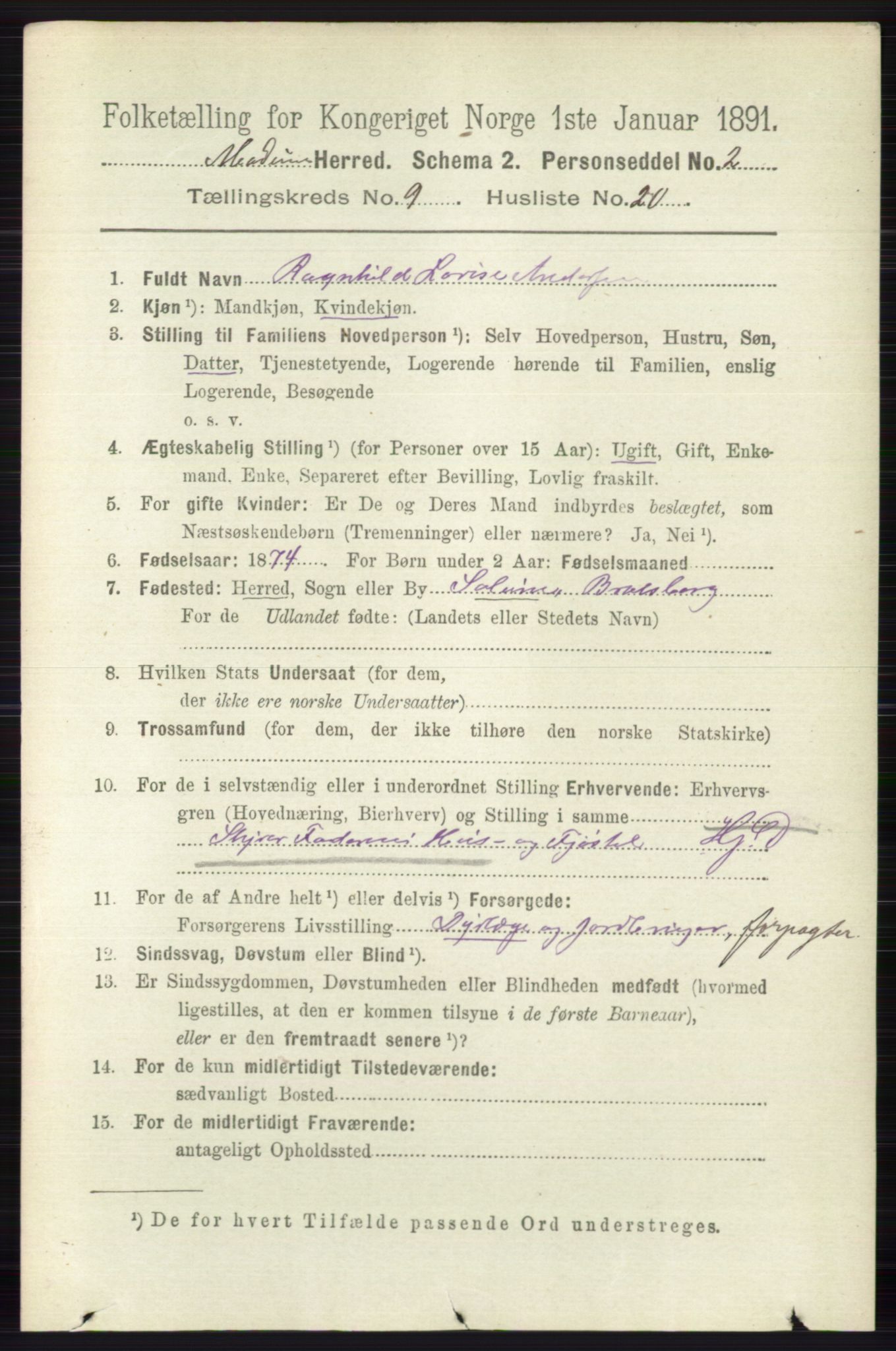 RA, 1891 census for 0623 Modum, 1891, p. 3575