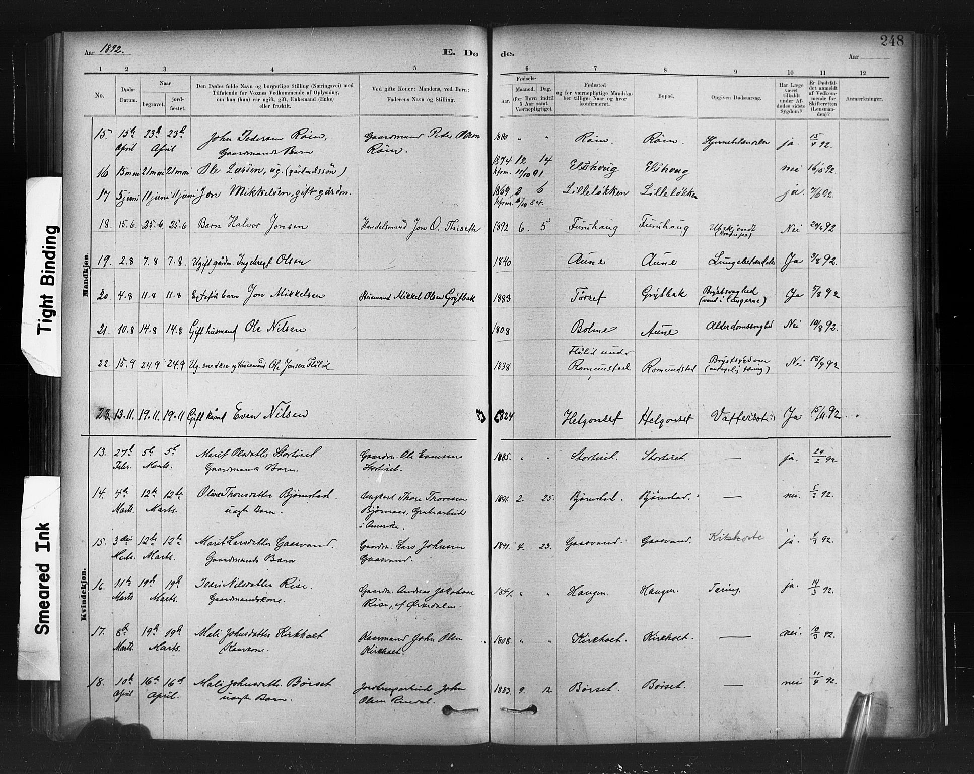 Ministerialprotokoller, klokkerbøker og fødselsregistre - Møre og Romsdal, AV/SAT-A-1454/598/L1069: Parish register (official) no. 598A03, 1882-1895, p. 248