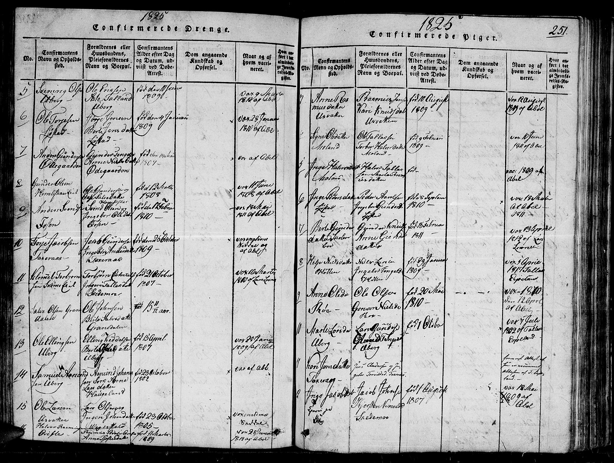 Gjerstad sokneprestkontor, SAK/1111-0014/F/Fb/Fbb/L0001: Parish register (copy) no. B 1, 1813-1863, p. 251